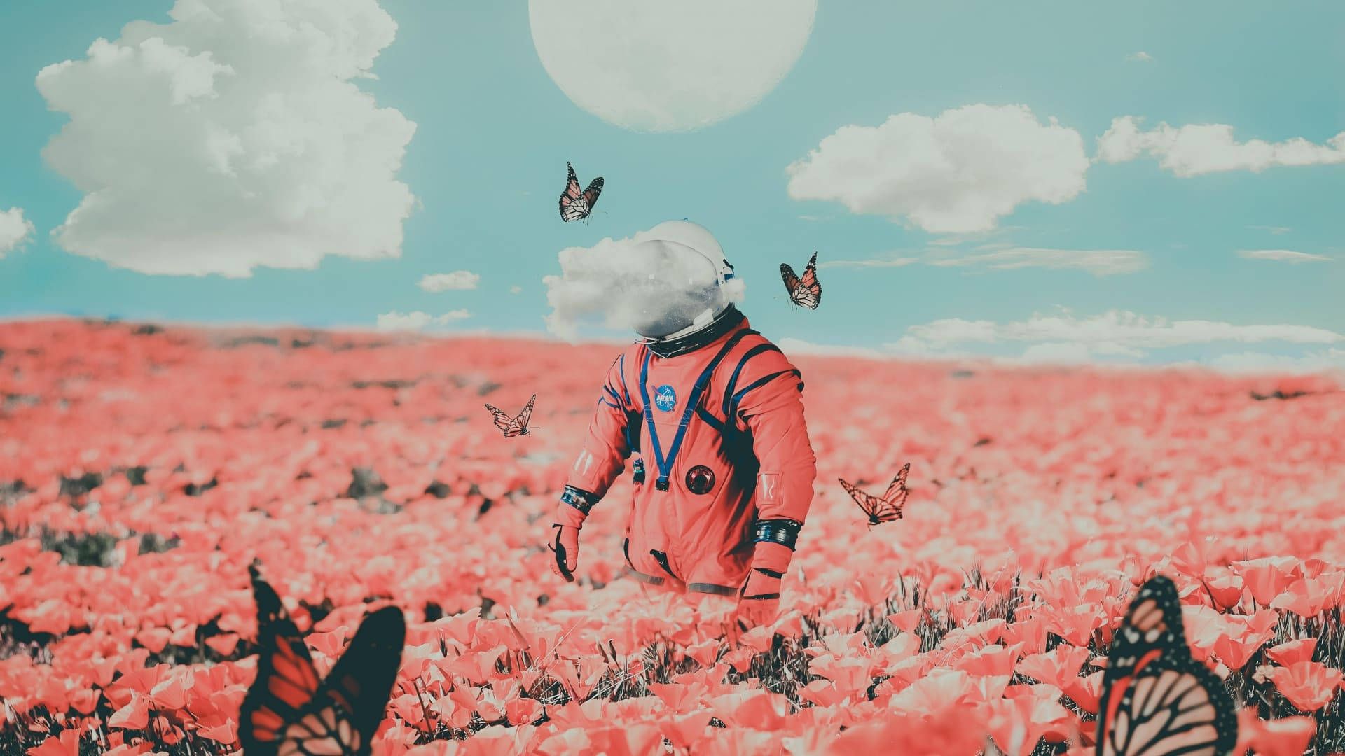 A person in an orange suit standing among flowers - 1920x1080, profile picture