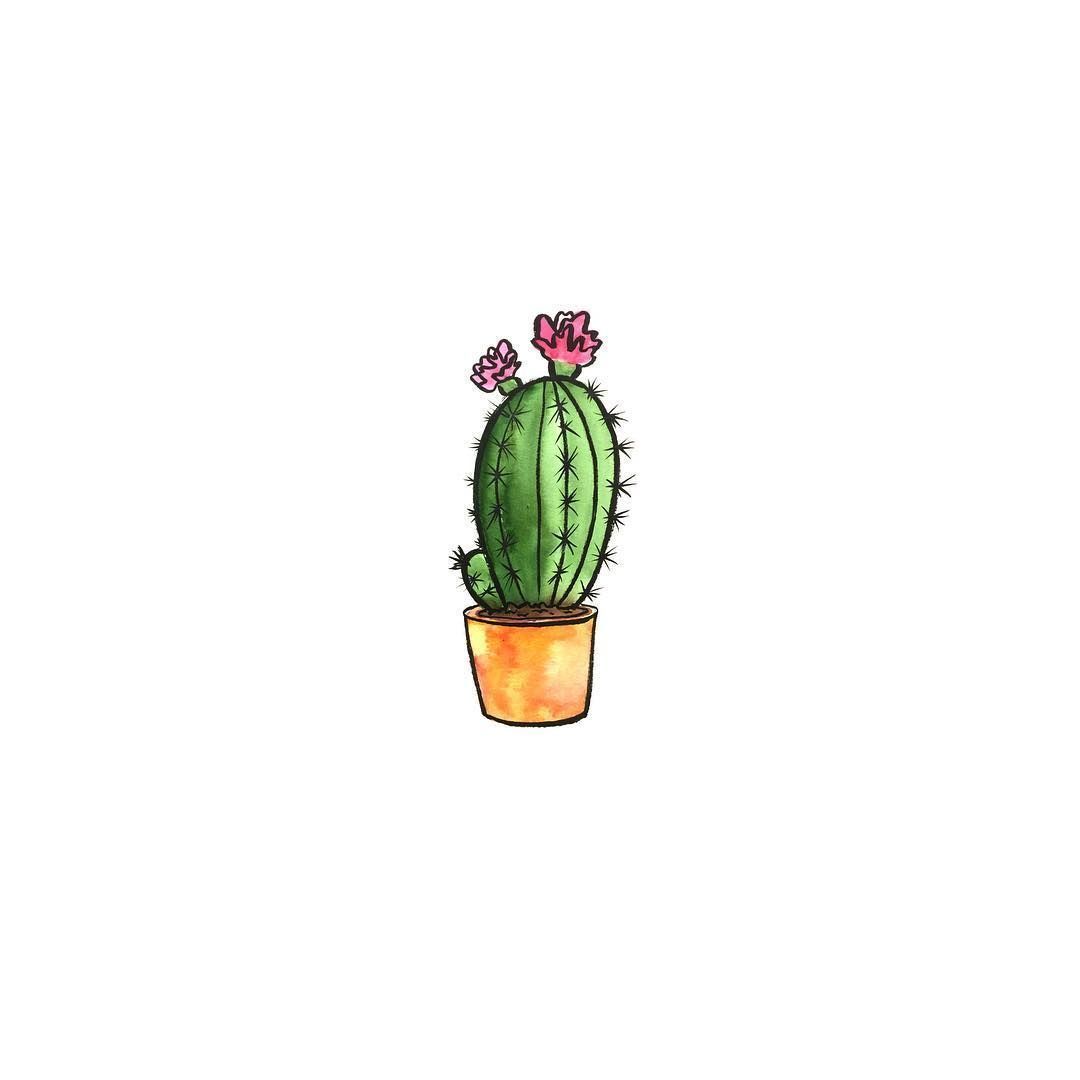 Aesthetic Cactus Profile Pic Wallpaper