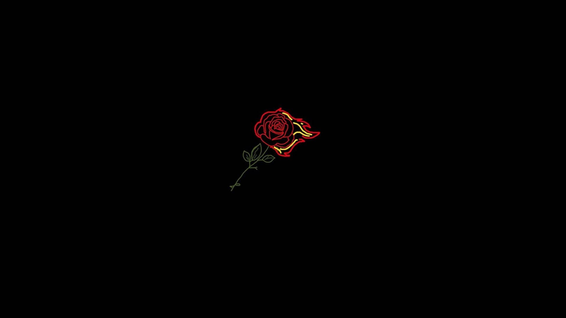 Aesthetic wallpaper red rose on a black background - Profile picture