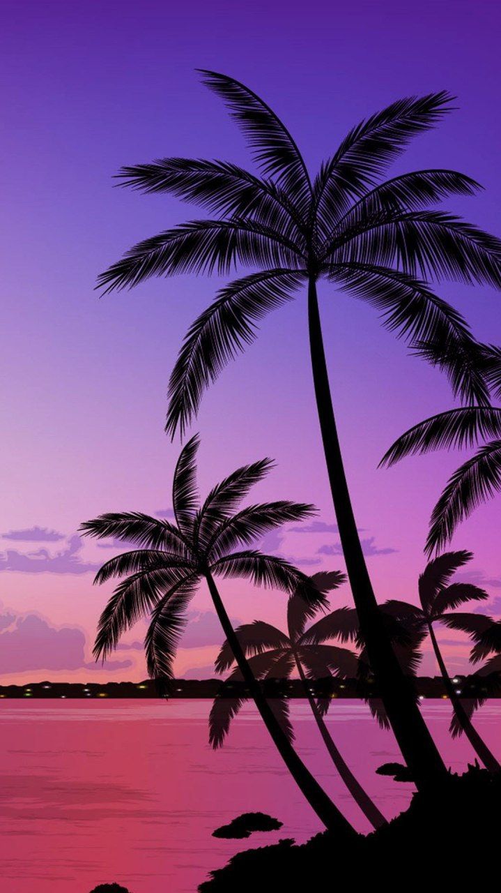 Palm trees, beach, sunset, purple, pink, wallpaper, background - Palm tree