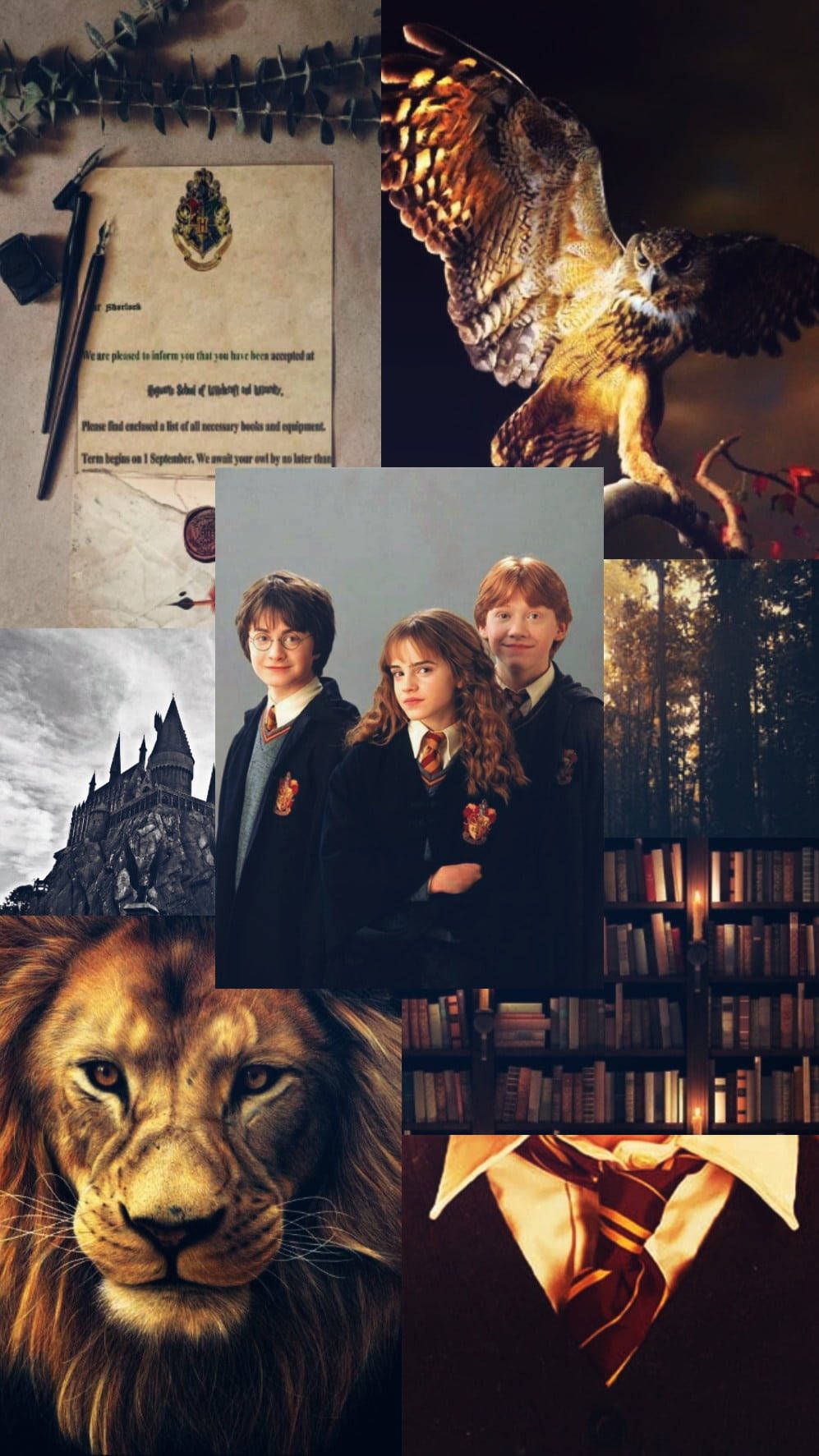 Download Aesthetic Harry Potter Young Gryffindors Wallpaper