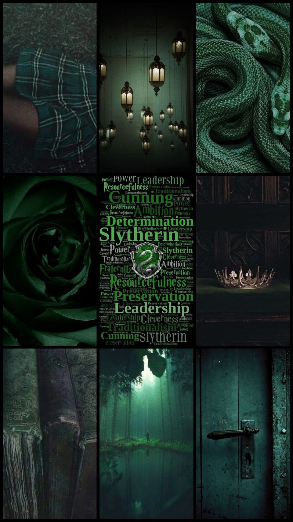 A collage of Slytherin images, including a snake, a rose, a boat, and a door. - Slytherin, Harry Potter