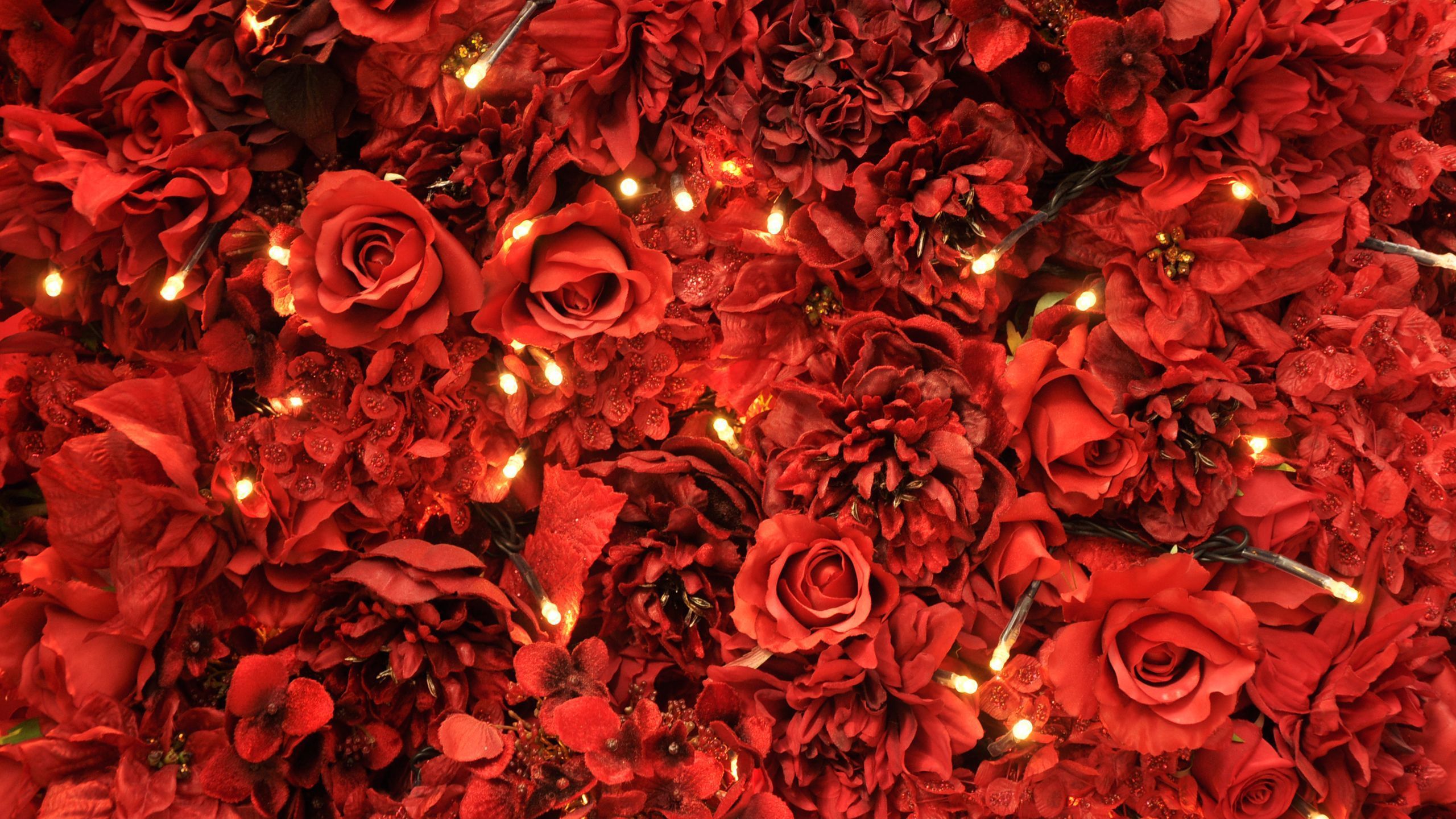Red Roses And Lights HD Red Aesthetic Wallpaper