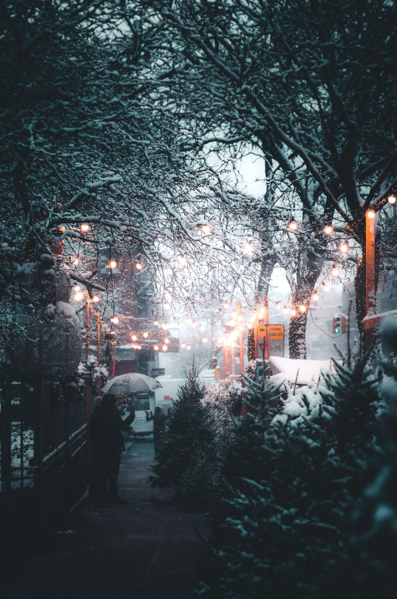 A snowy street with trees and lights - Christmas, cute Christmas, winter, cozy, snow, magic, road, Christmas iPhone, warm, white Christmas, Texas