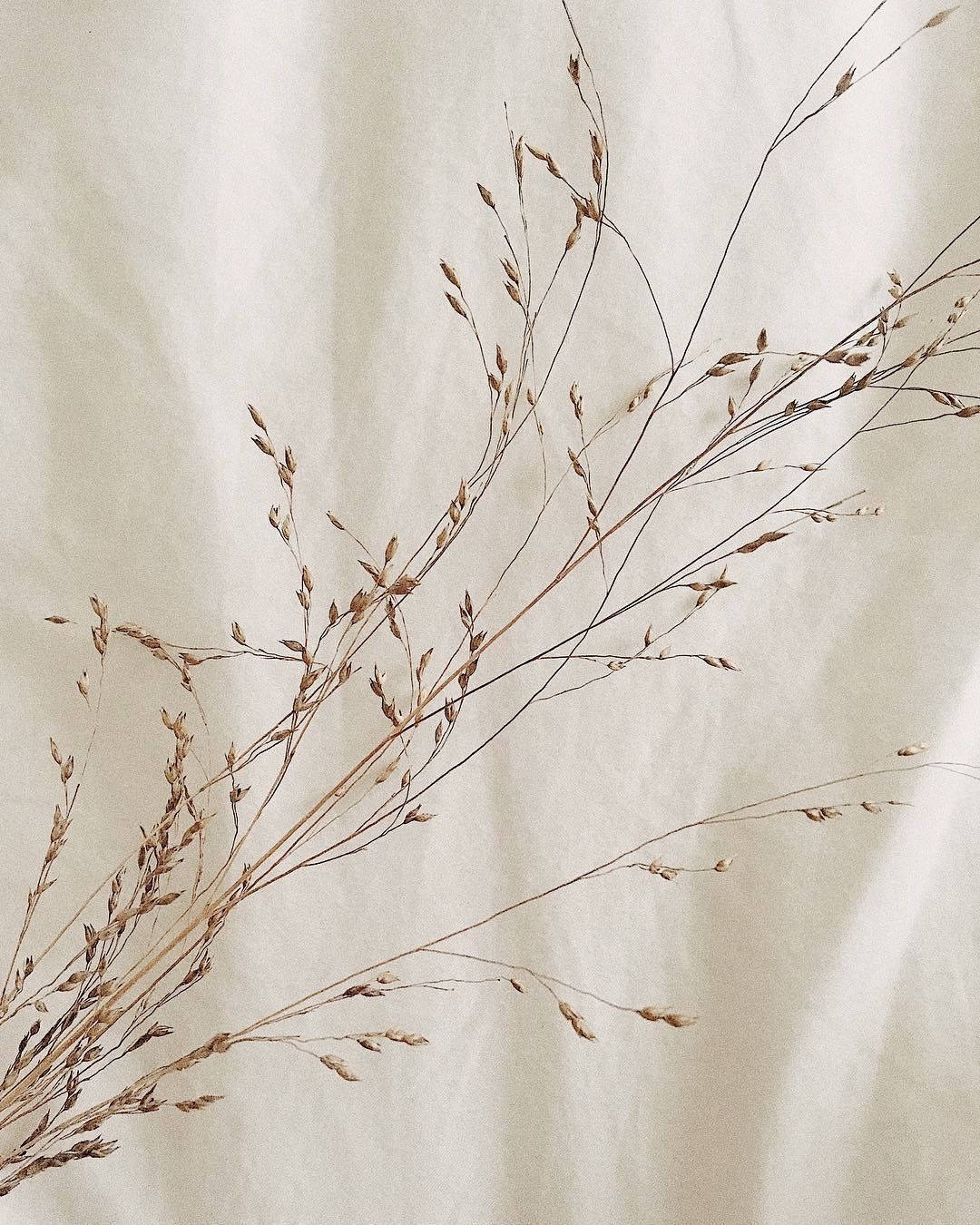 LINEN. . ISĒ. Linen is produced in Europe with zero waste. Even the parts of the plants not used for. Beige aesthetic, Minimal photography, White aesthetic