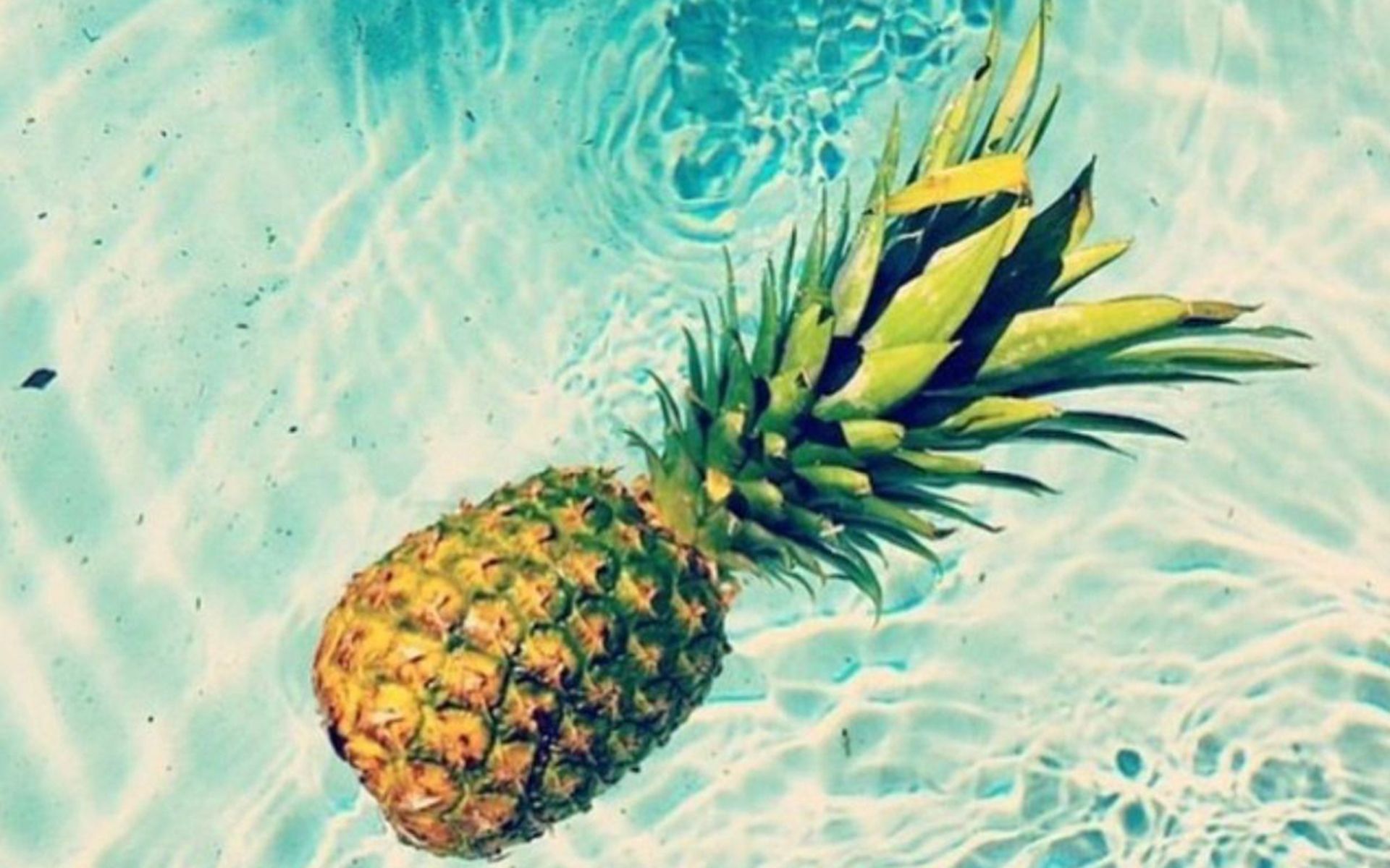 A pineapple floating in a pool. - Pineapple