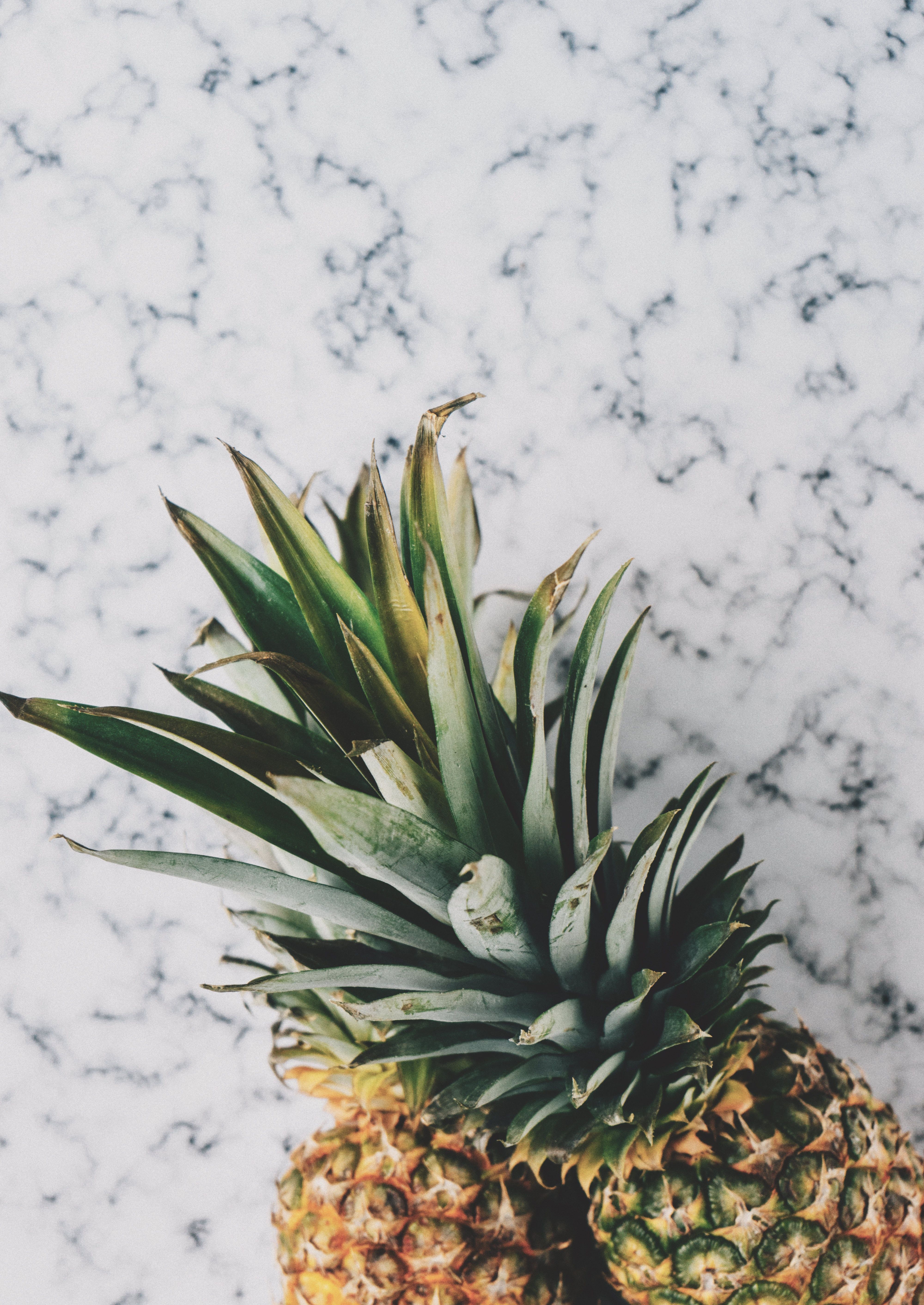 Pineapples Photo, Download Free Pineapples & HD Image