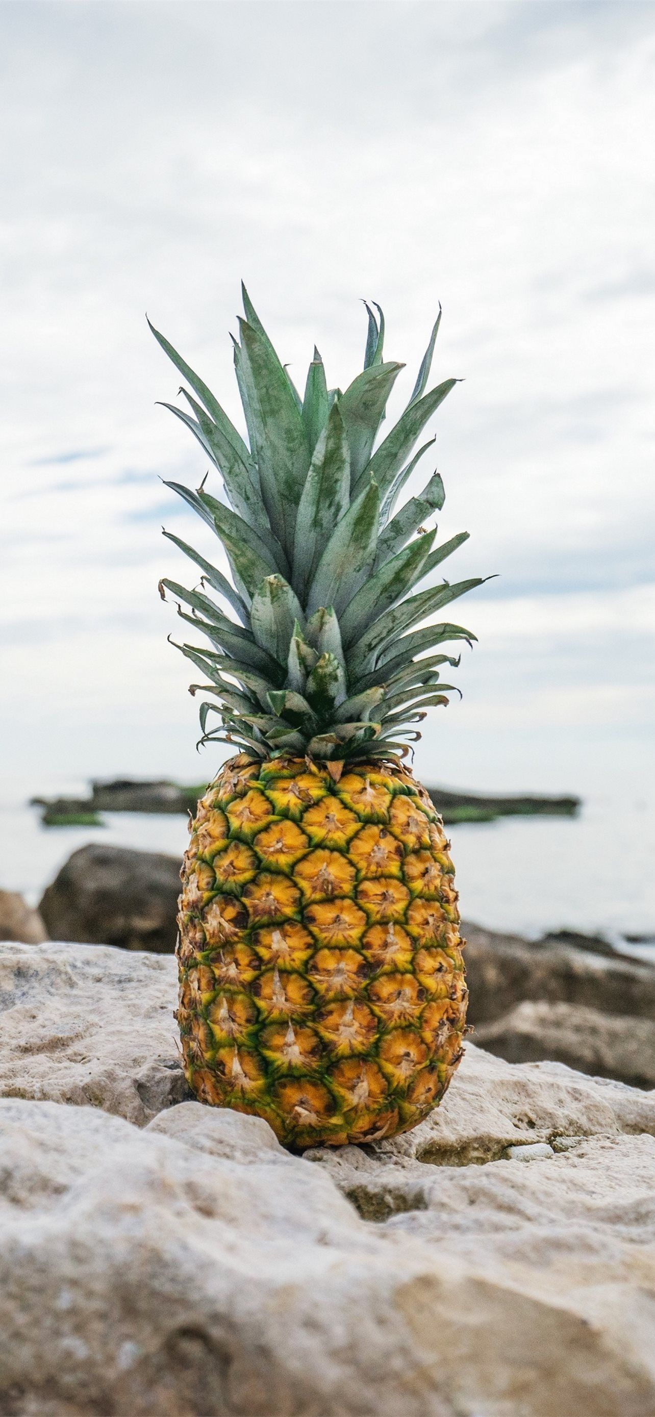 A pineapple sitting on a rock in front of the ocean - Pineapple