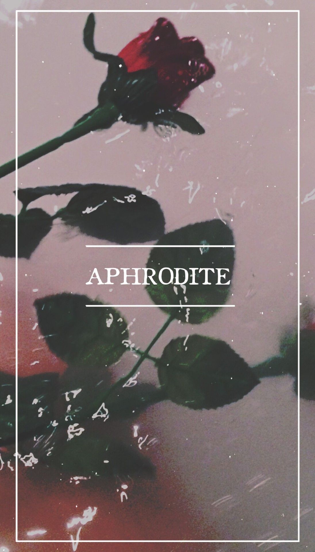 aphrodite wallpaper. Deusa afrodite, Mitologia grega, Mitologia grega deuses