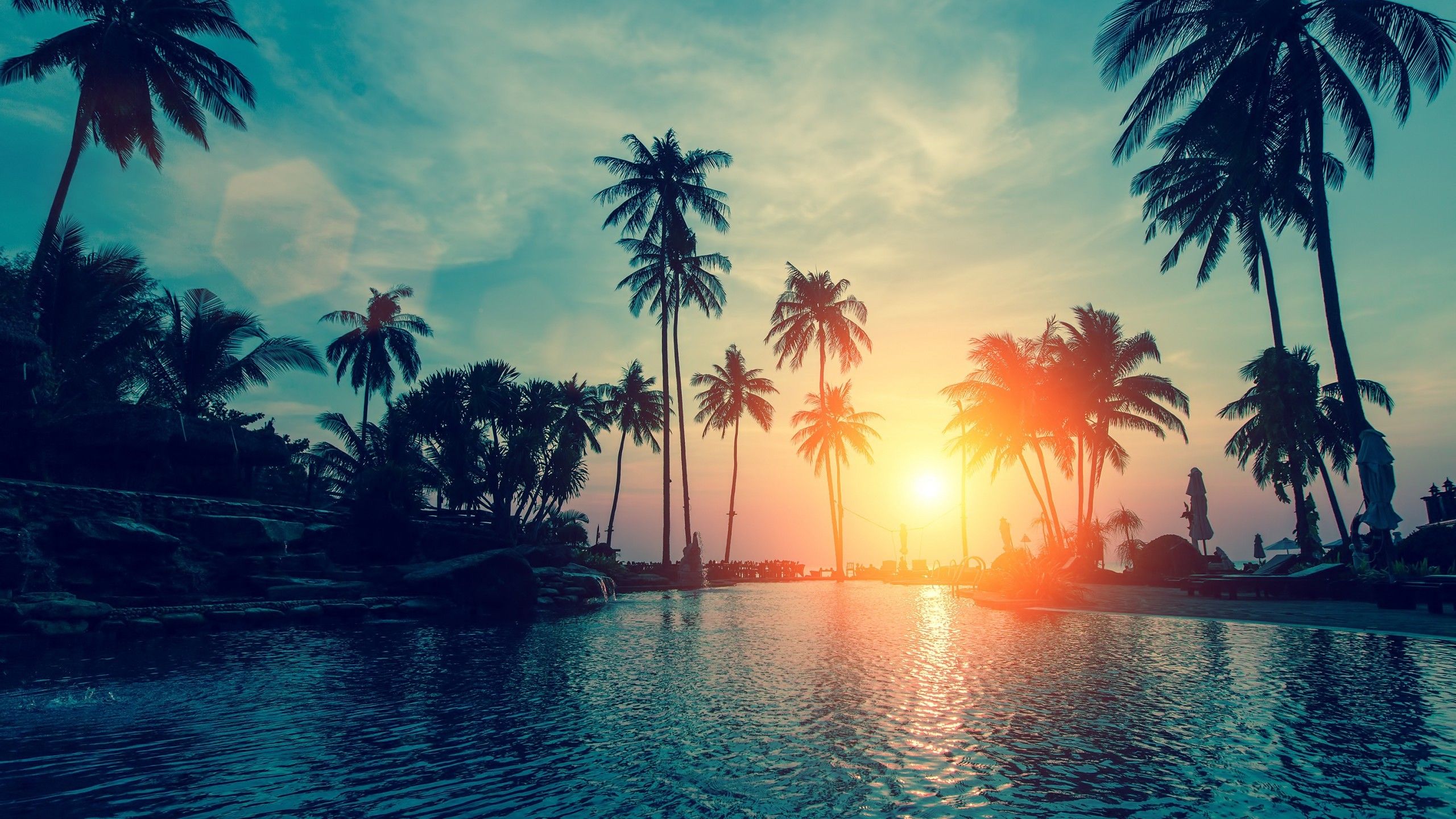 A sunset over the ocean with palm trees - Palm tree