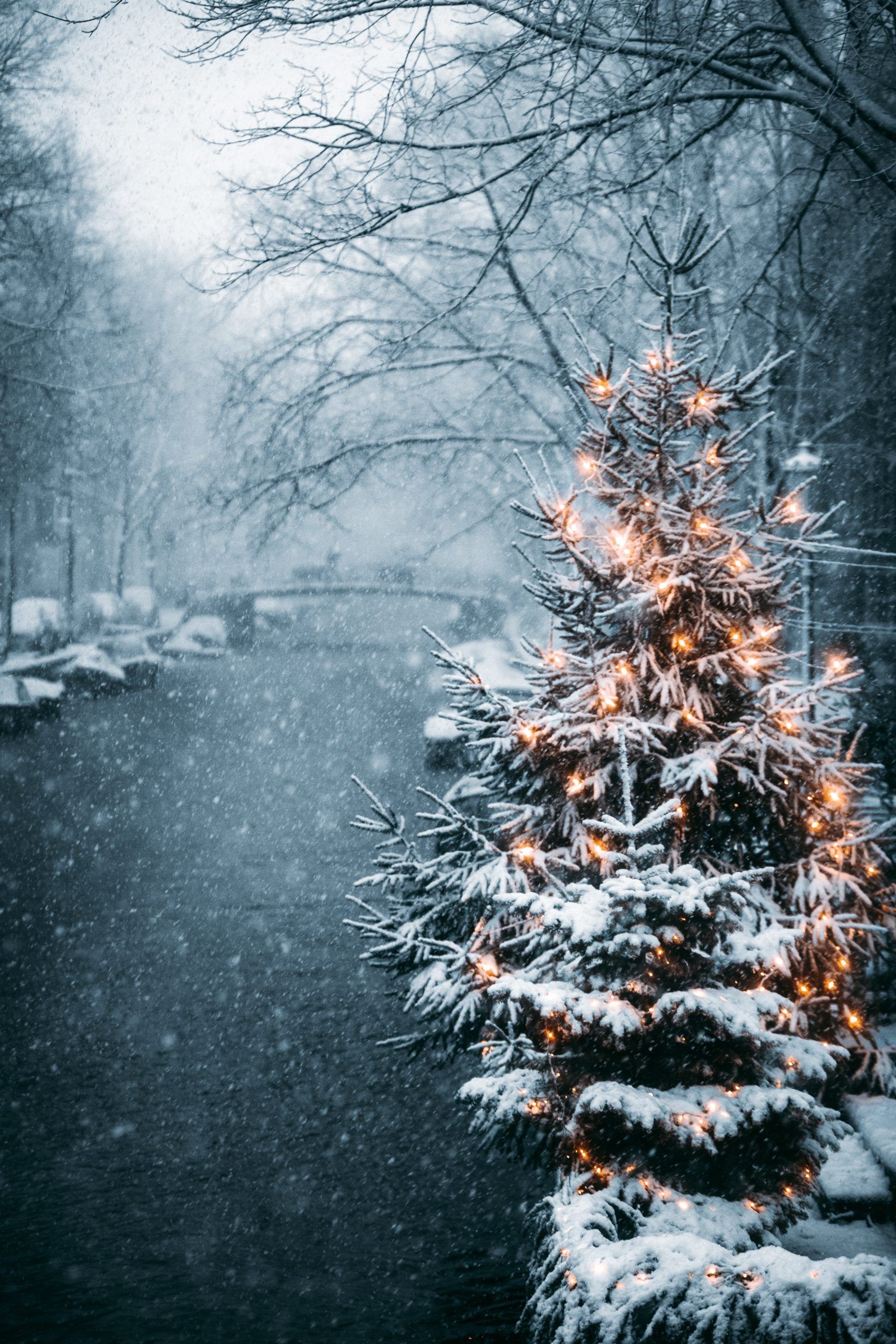A christmas tree with lights in the snow - Christmas, winter, snow, Christmas iPhone