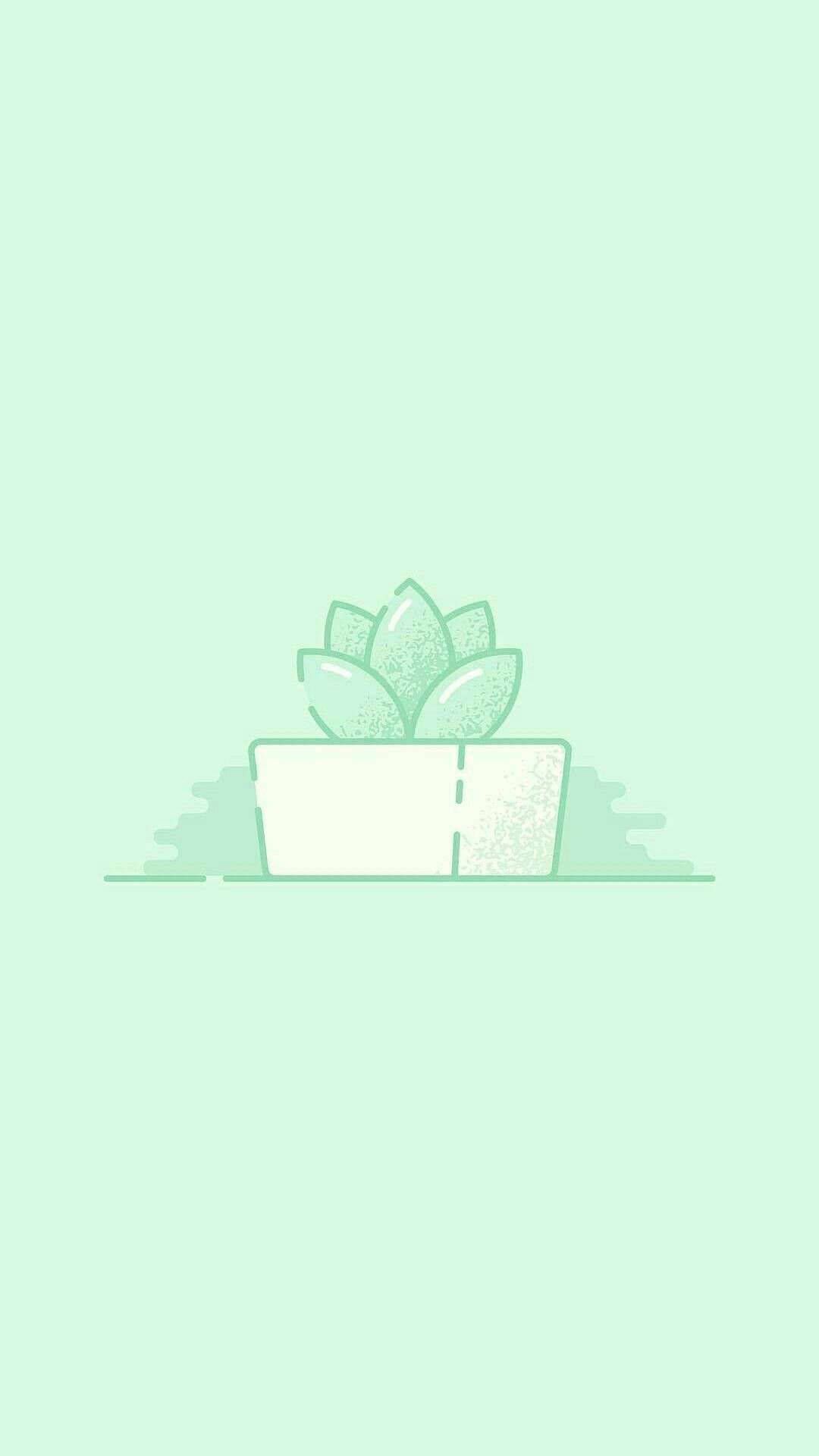 A green plant in the shape of an icon - Light green, soft green, succulent