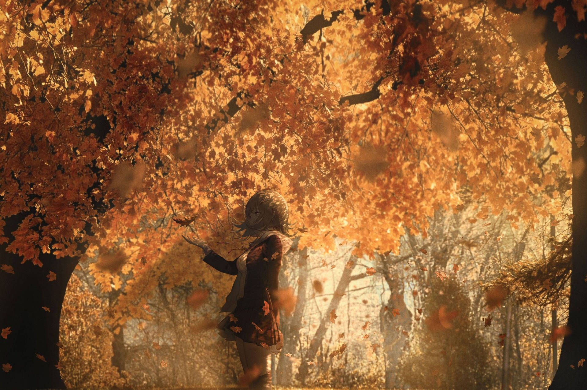A person is standing in the middle of an autumn forest - Chromebook