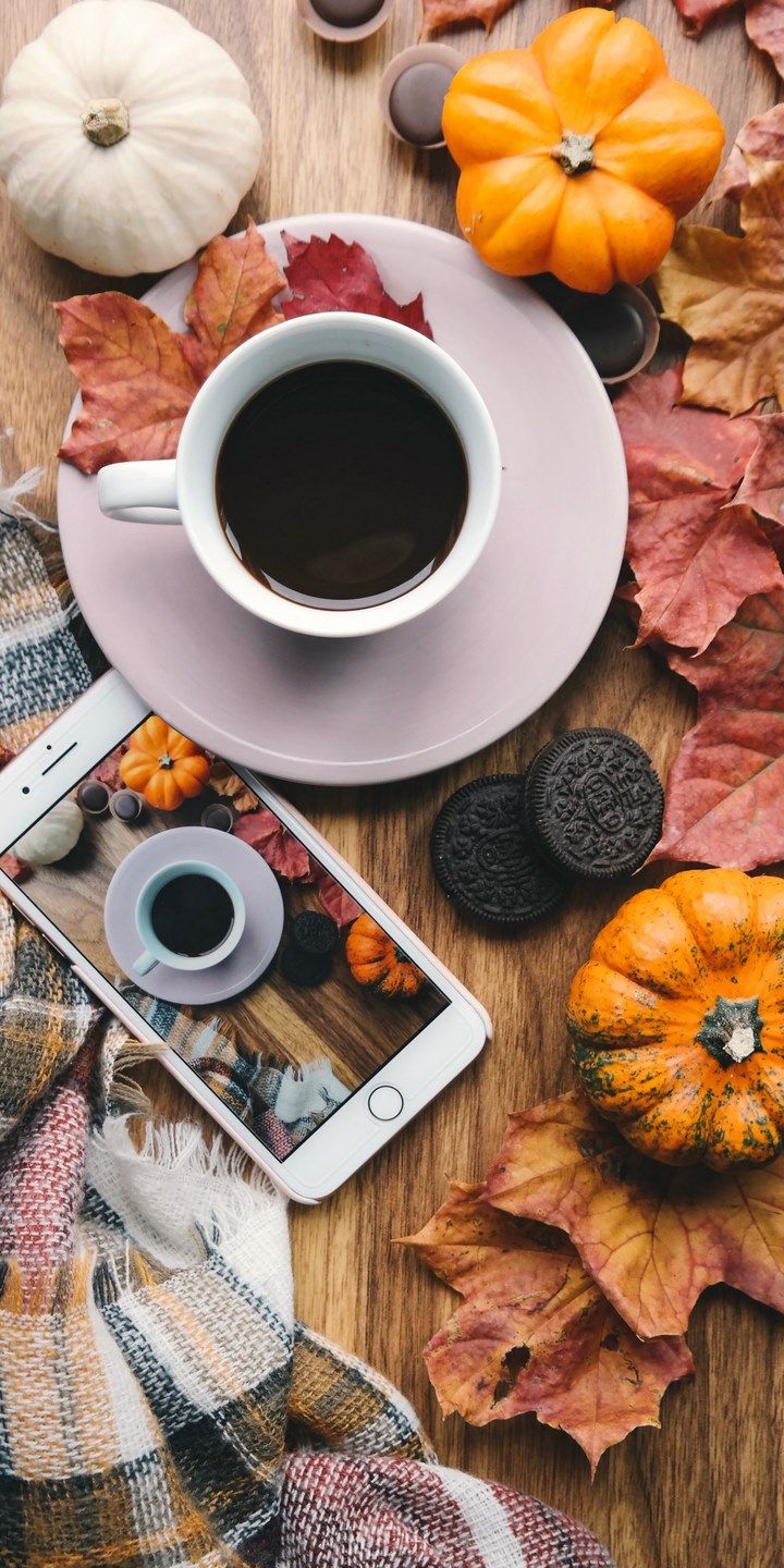 A phone with coffee and pumpkins on it - Coffee