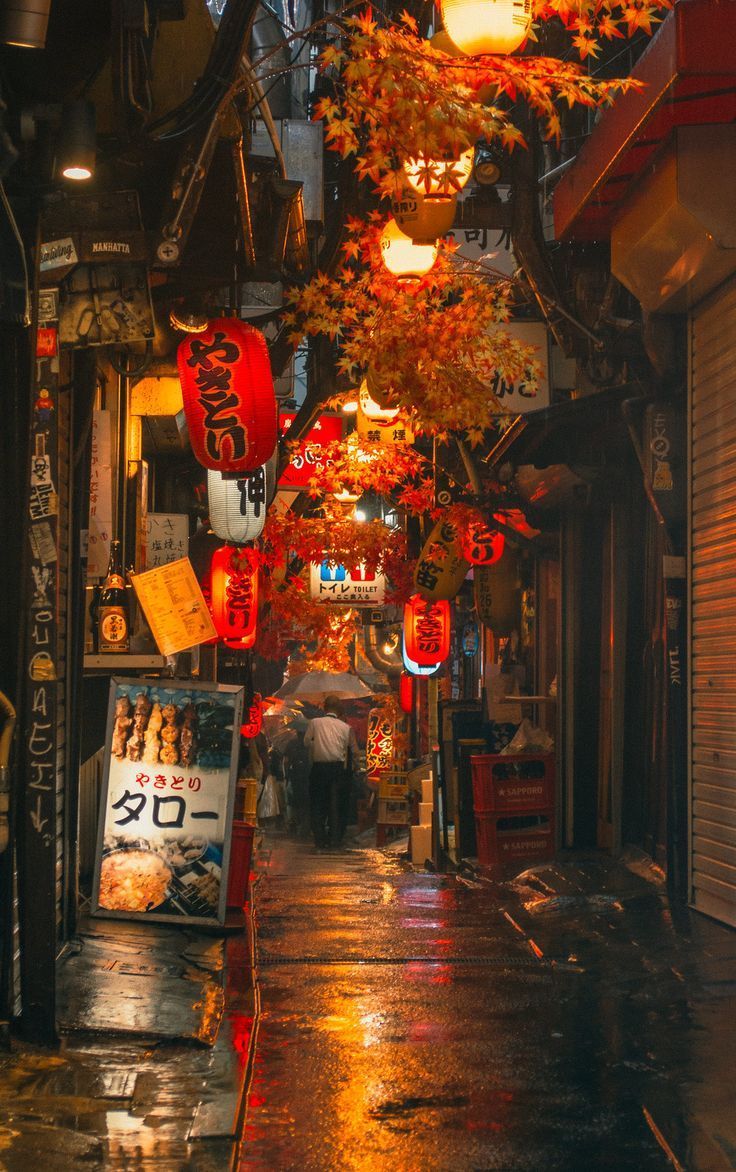 A street in Tokyo at night with red lanterns and autumn leaves. - Tokyo