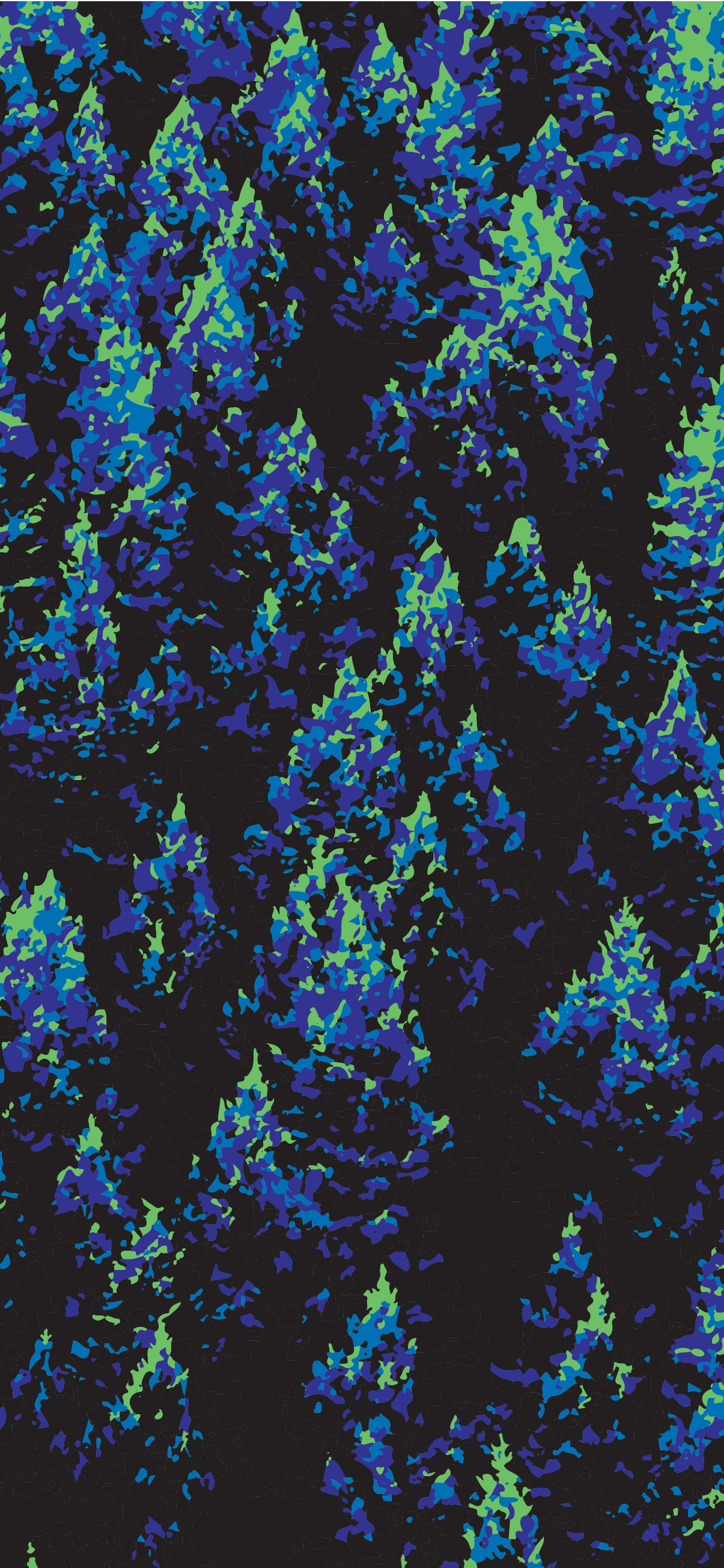A black background with blue and green pine trees - Forest