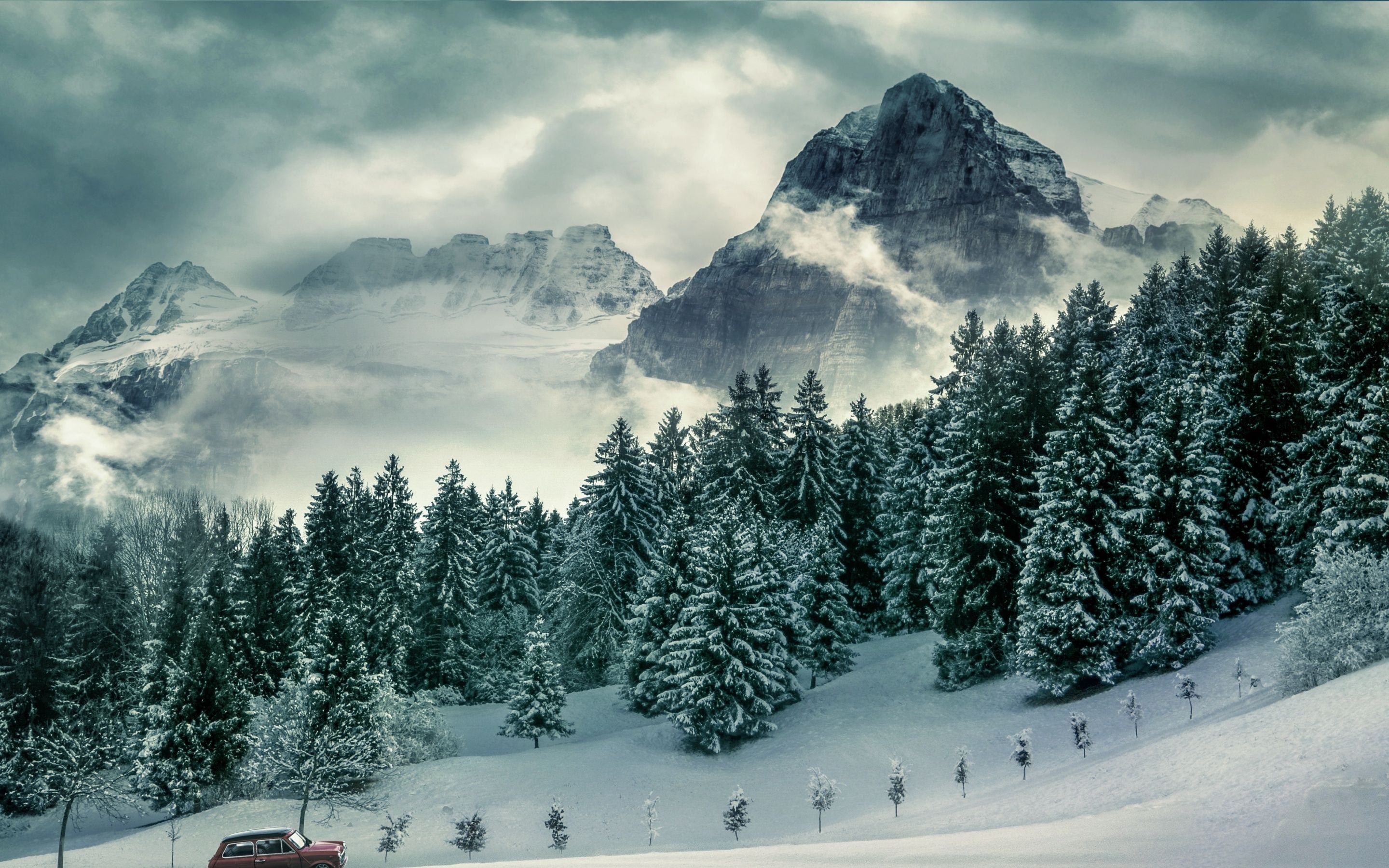 A car is parked on a snowy hillside with trees and mountains in the background. - Forest