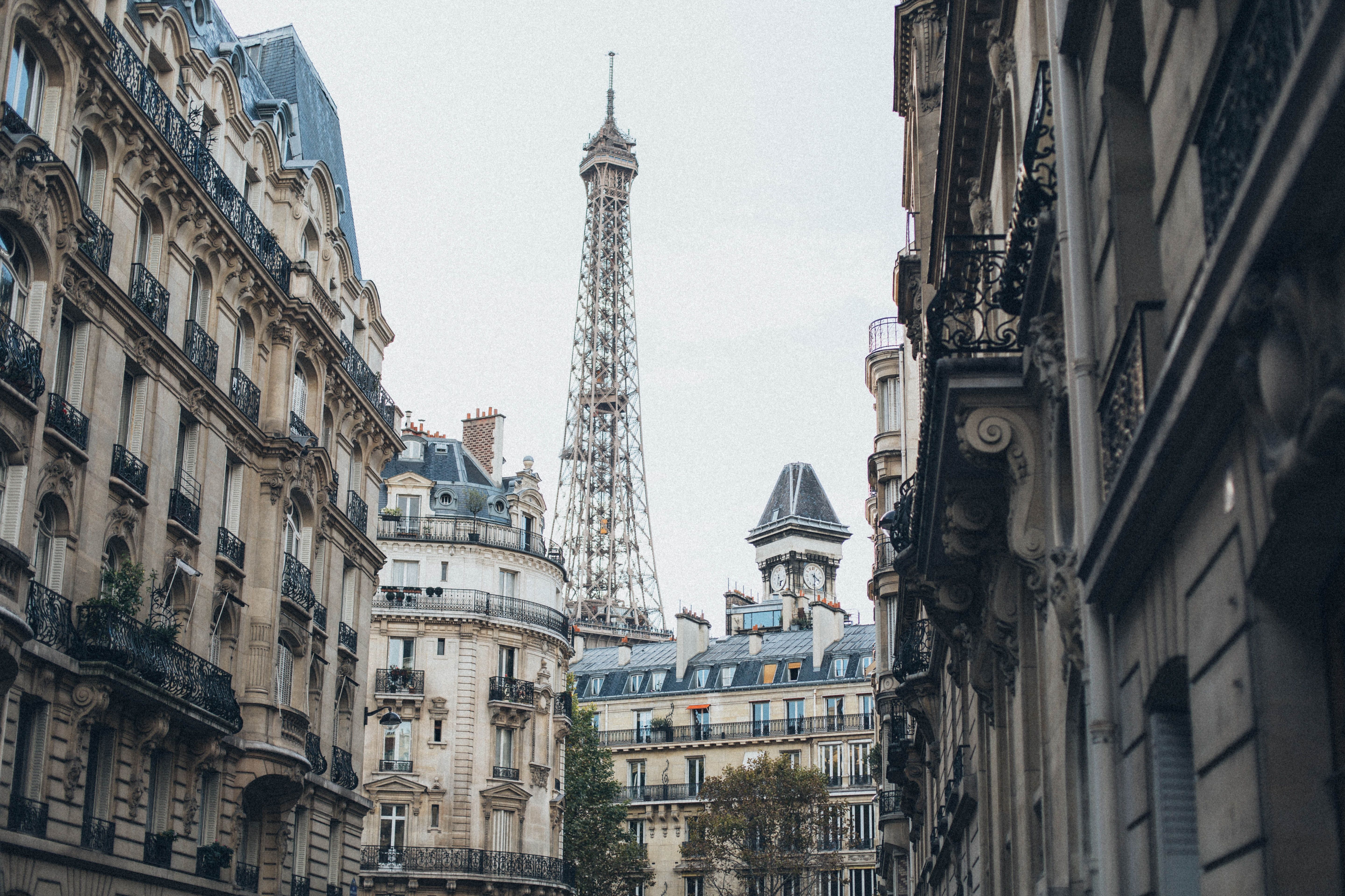 A street with buildings and the eiffel tower in background - Paris