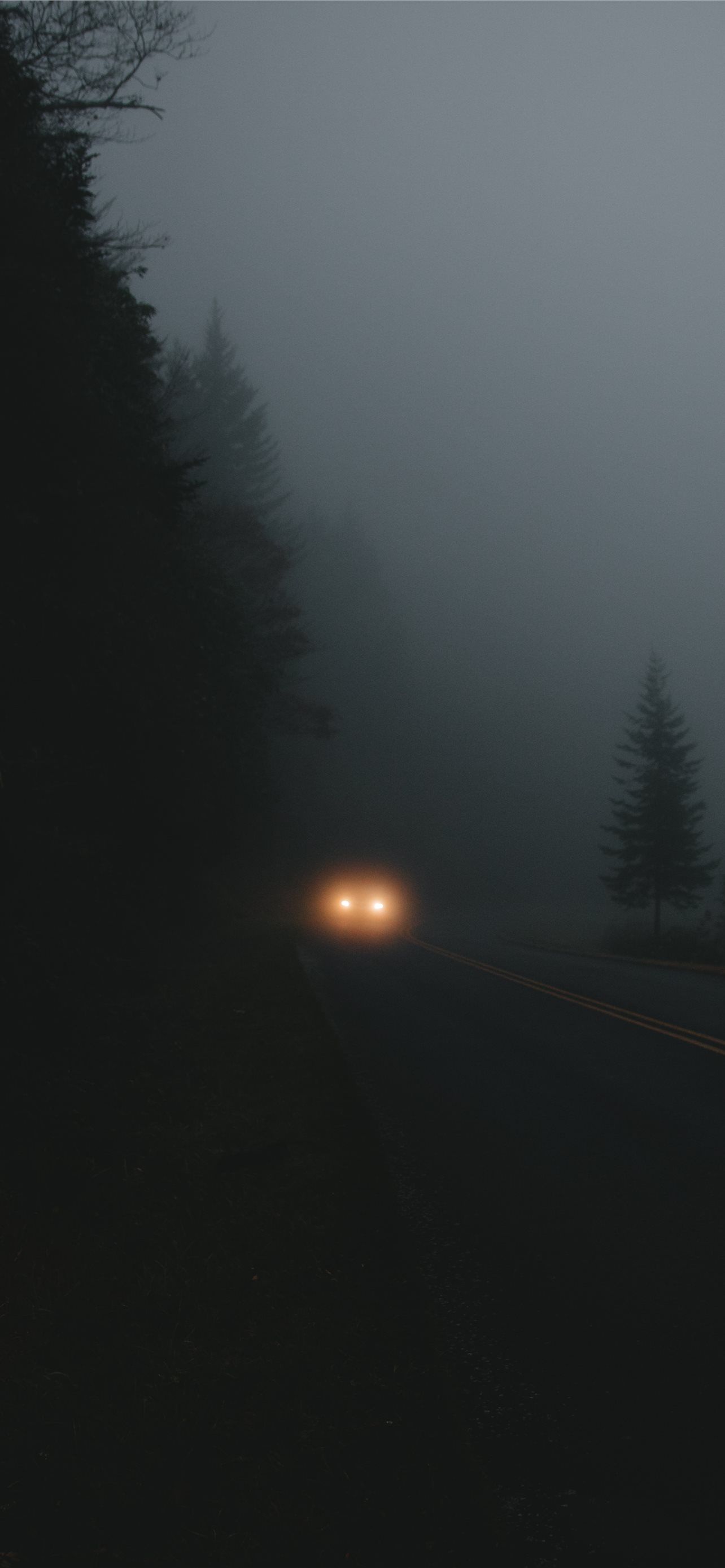 A car driving down the road in fog - Forest