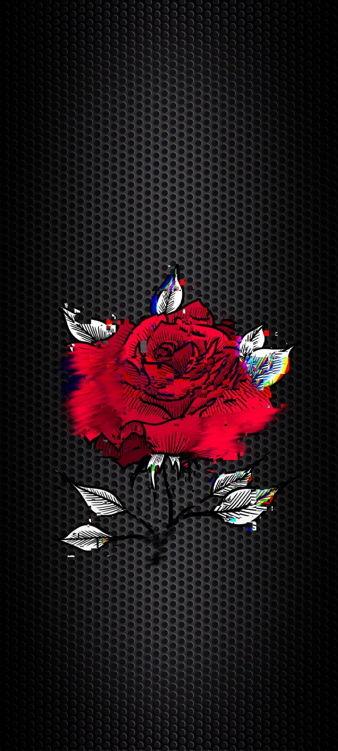 A rose with leaves and petals on the screen - Dark red, roses