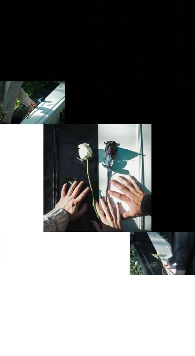 A picture of two hands holding flowers - Markiplier