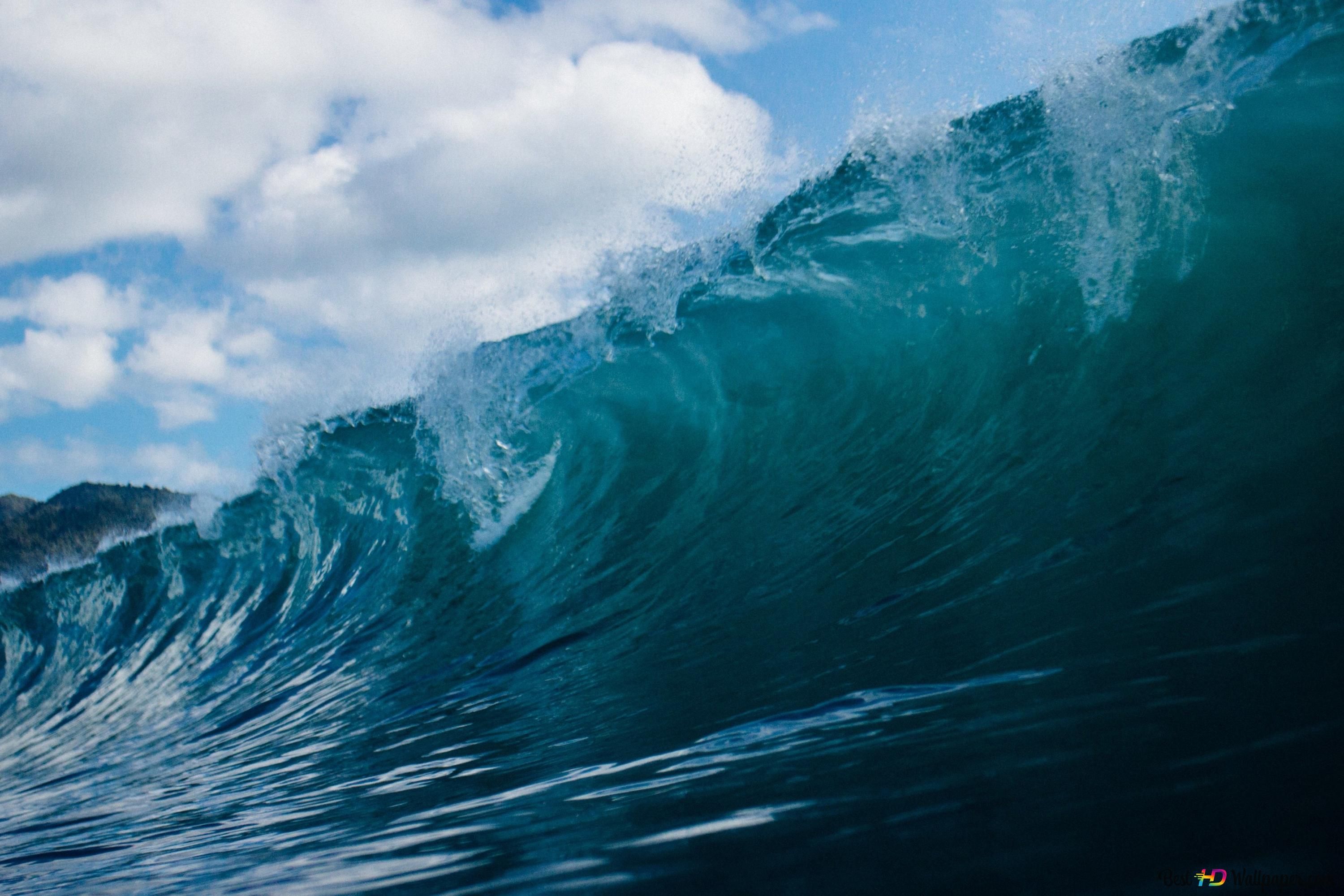A large wave in the ocean - Ocean