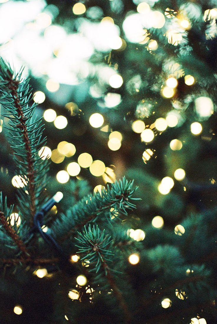 A close up of some christmas lights - Christmas iPhone, Christmas, cute Christmas, Christmas lights