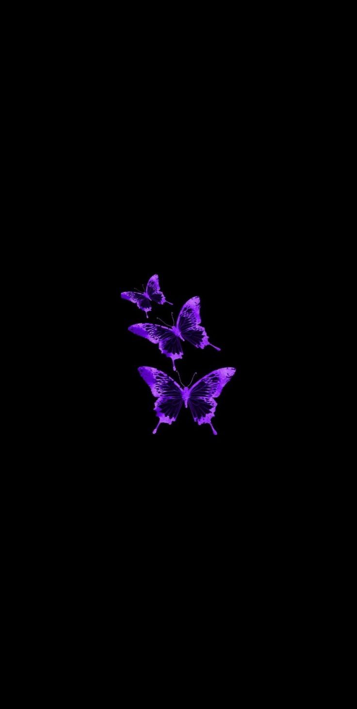 A purple butterfly on black background - Dark purple