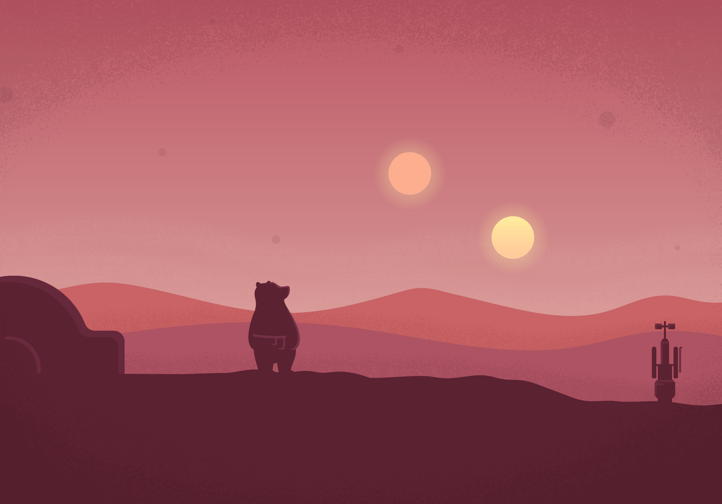 A bear standing on top of some rocks - IPad