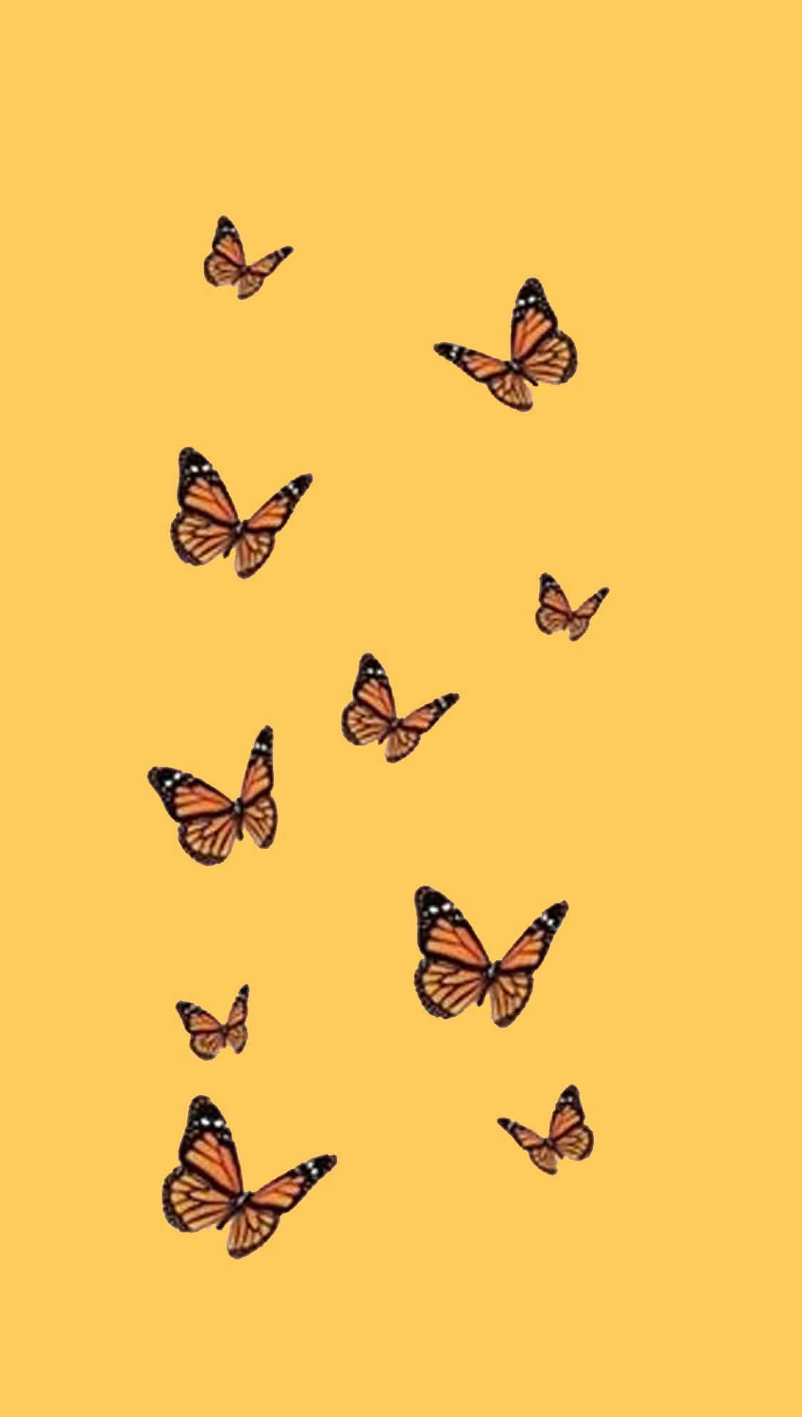 Yellow Butterfly Aesthetic Wallpaper