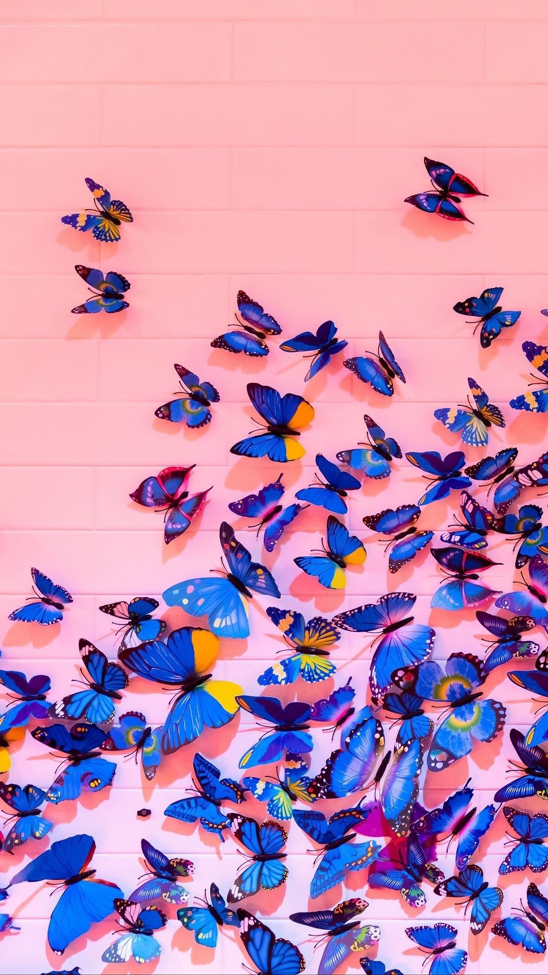 IPhone wallpaper of blue butterflies on a pink wall - Butterfly, bright, Mexico