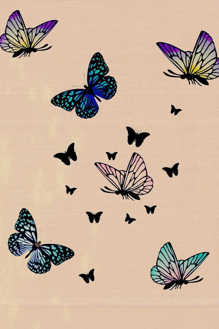 A collection of butterflies in blue, purple, black and white. - Butterfly