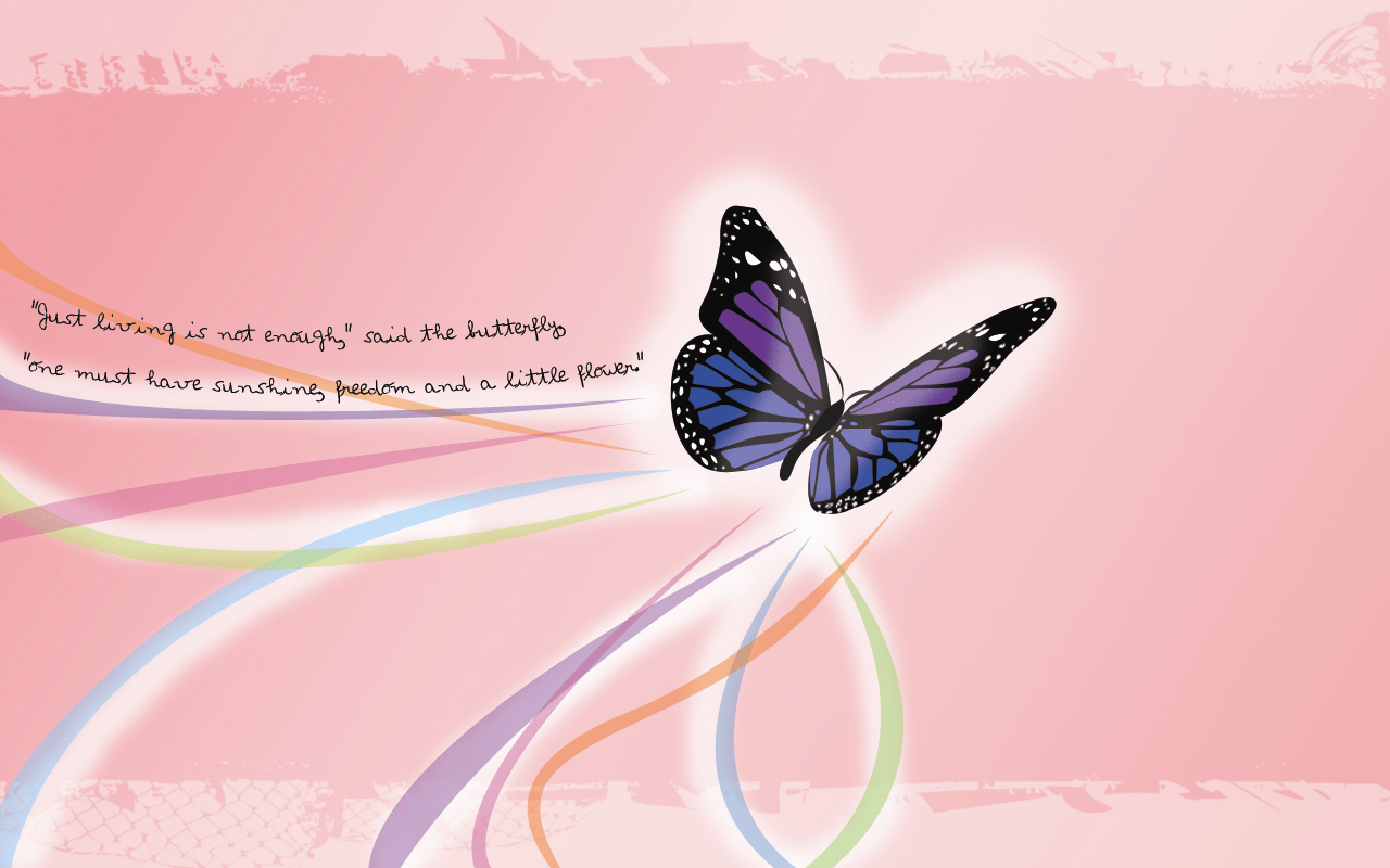A butterfly with rainbow colors is flying - Butterfly