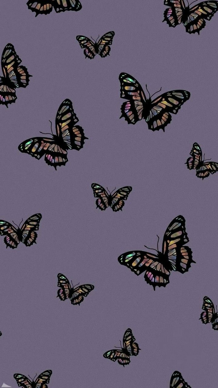 Aesthetic butterfly wallpaper for phone background - Butterfly