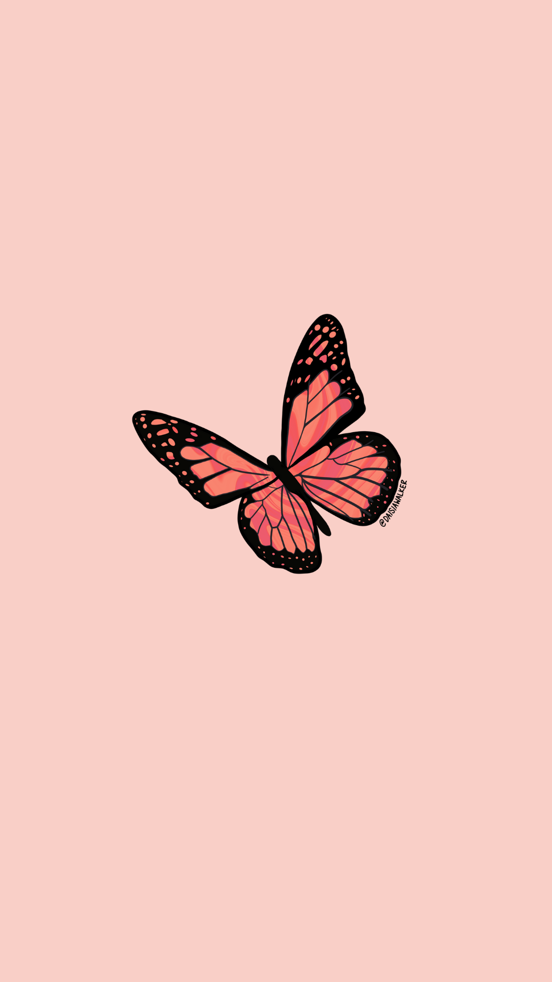 Aesthetic butterfly wallpaper for phone background. - Butterfly