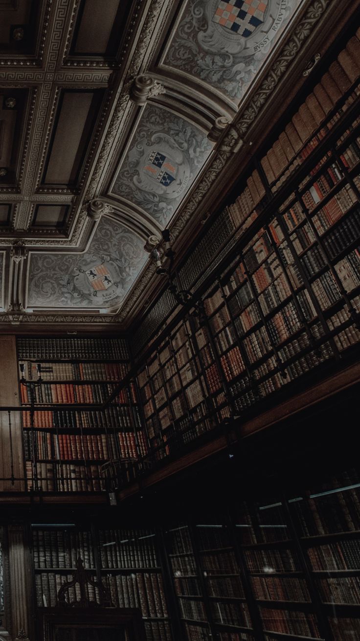 An image of a beautiful library with a ceiling that looks like the sky. - Dark academia