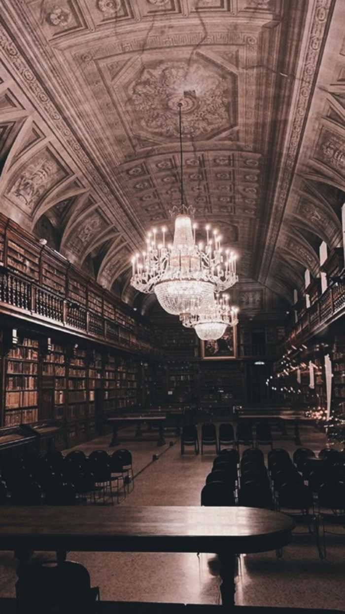 Black and white photo of a library, inside a building, cute backgrounds, chandelier hanging from the ceiling - Dark academia