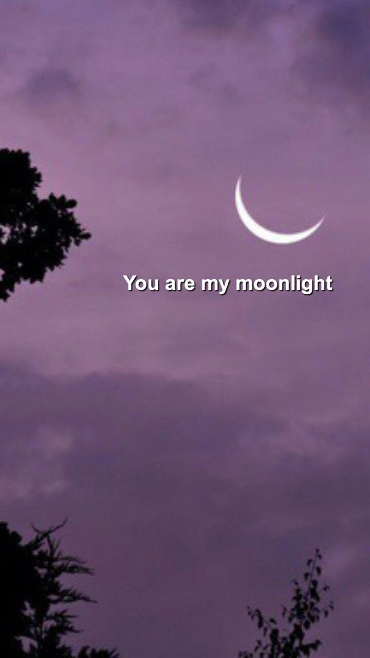 You are my moonlight - Moon