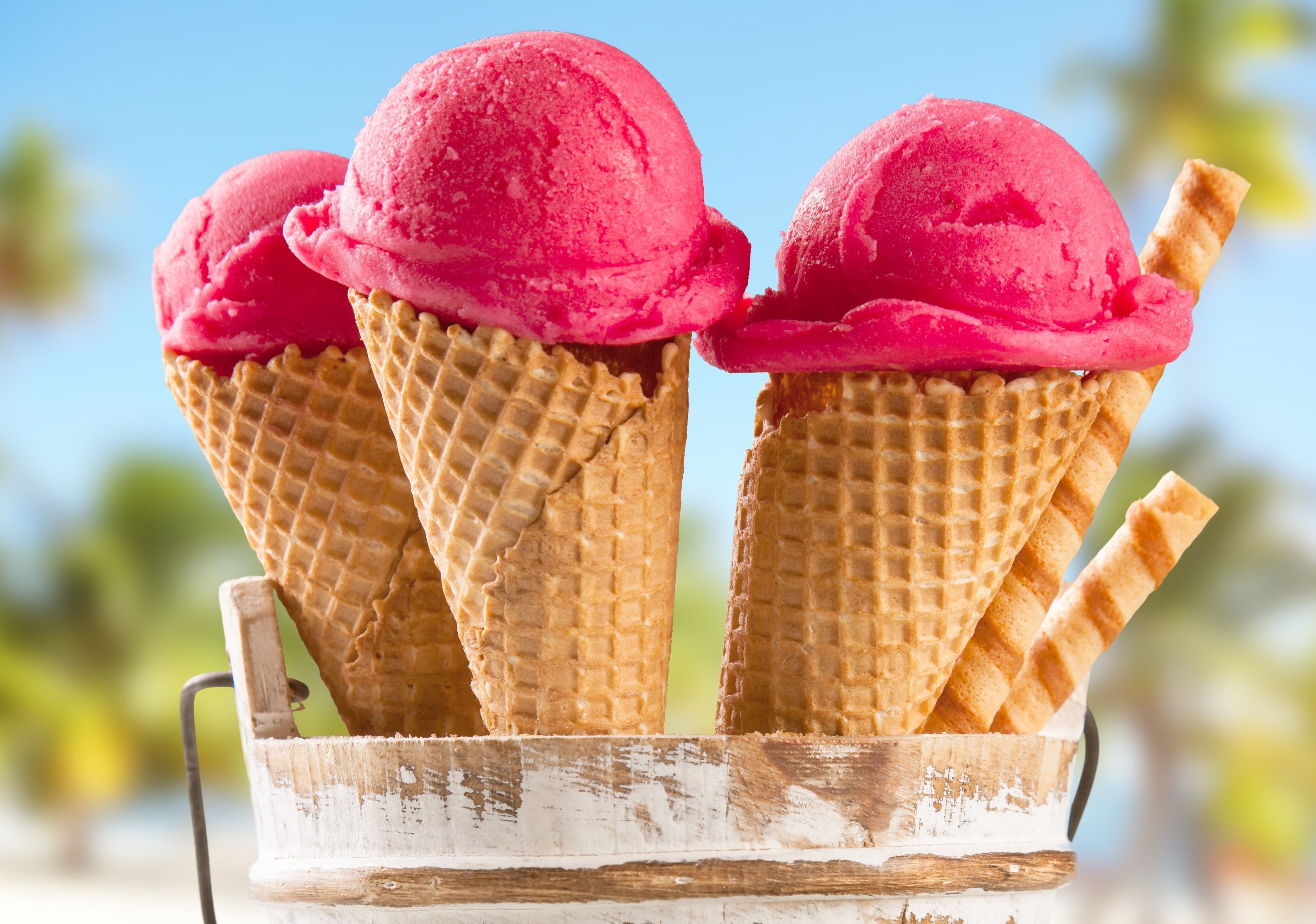 There are three strawberry ice cream cones in a bucket. - Ice cream