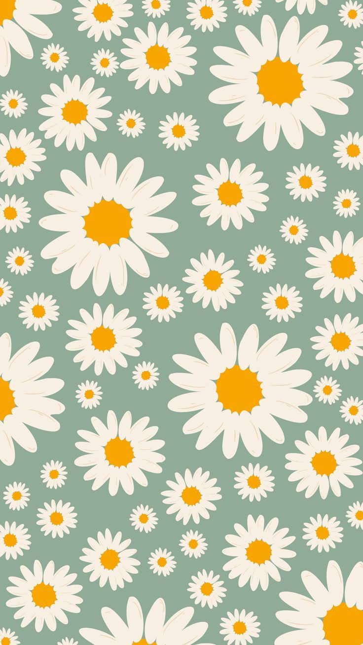 A pattern of white and yellow daisies - Daisy