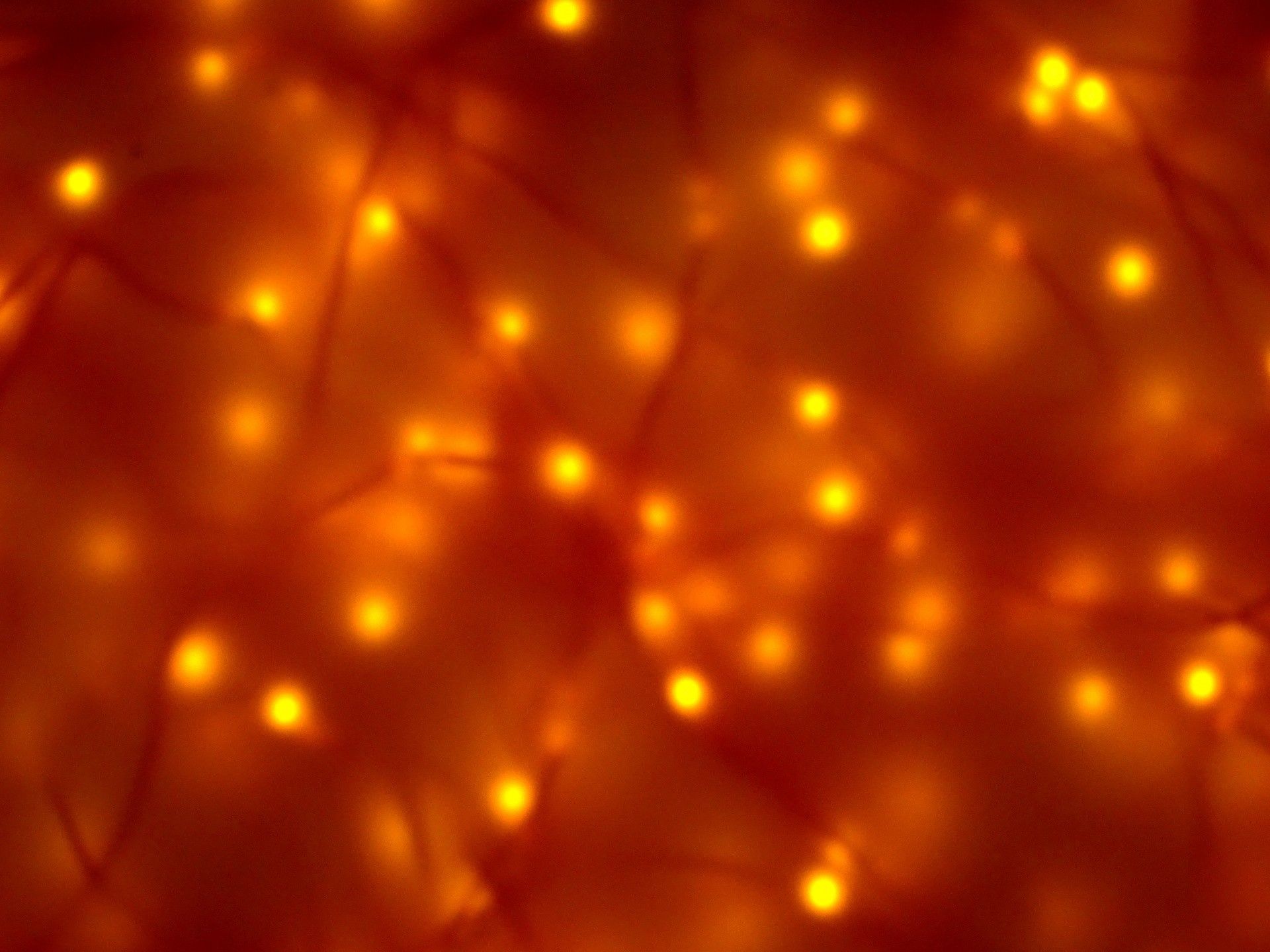 A close up of some orange lights - Neon orange