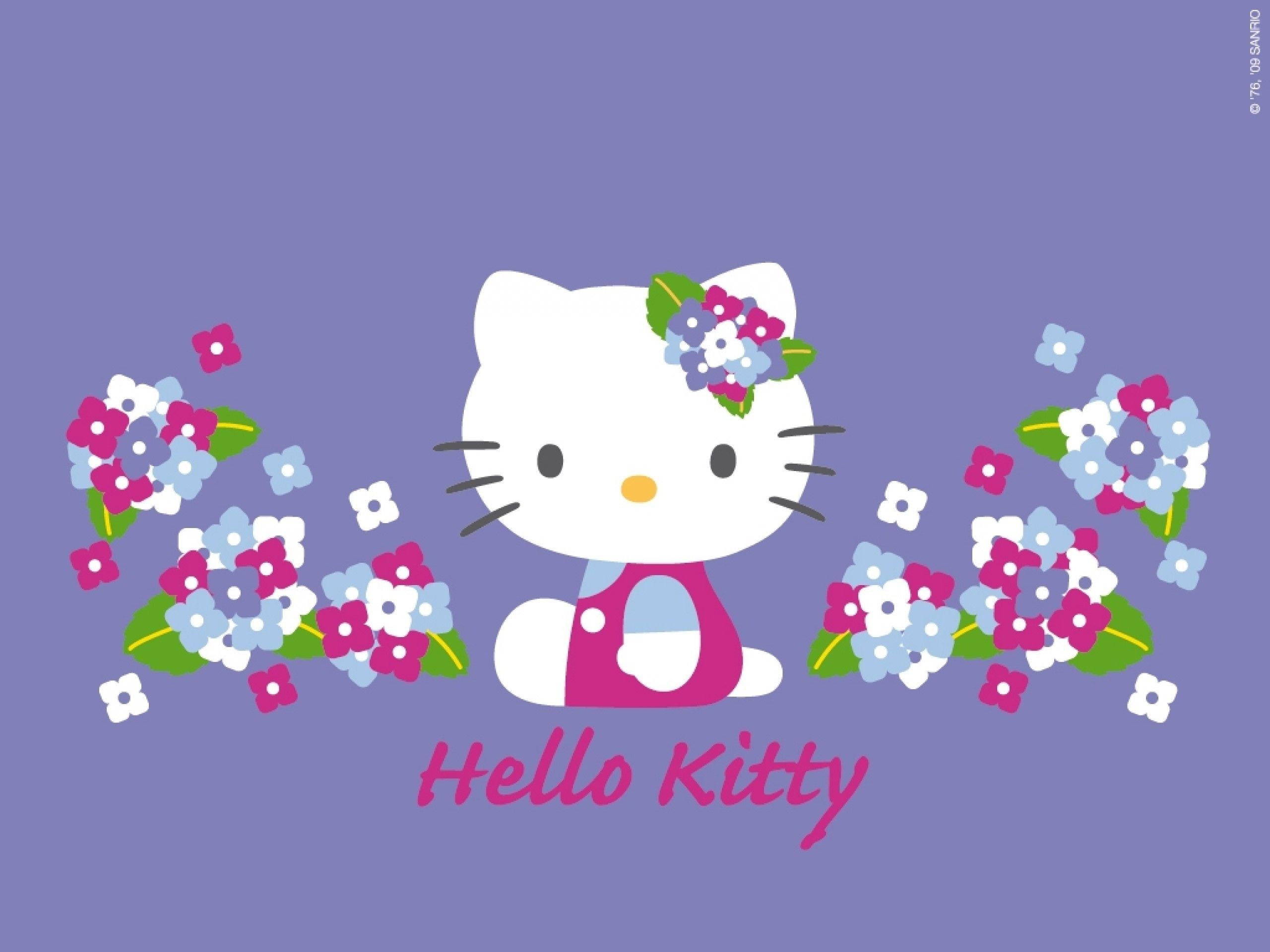Hello Kitty with flowers on a purple background - Sanrio