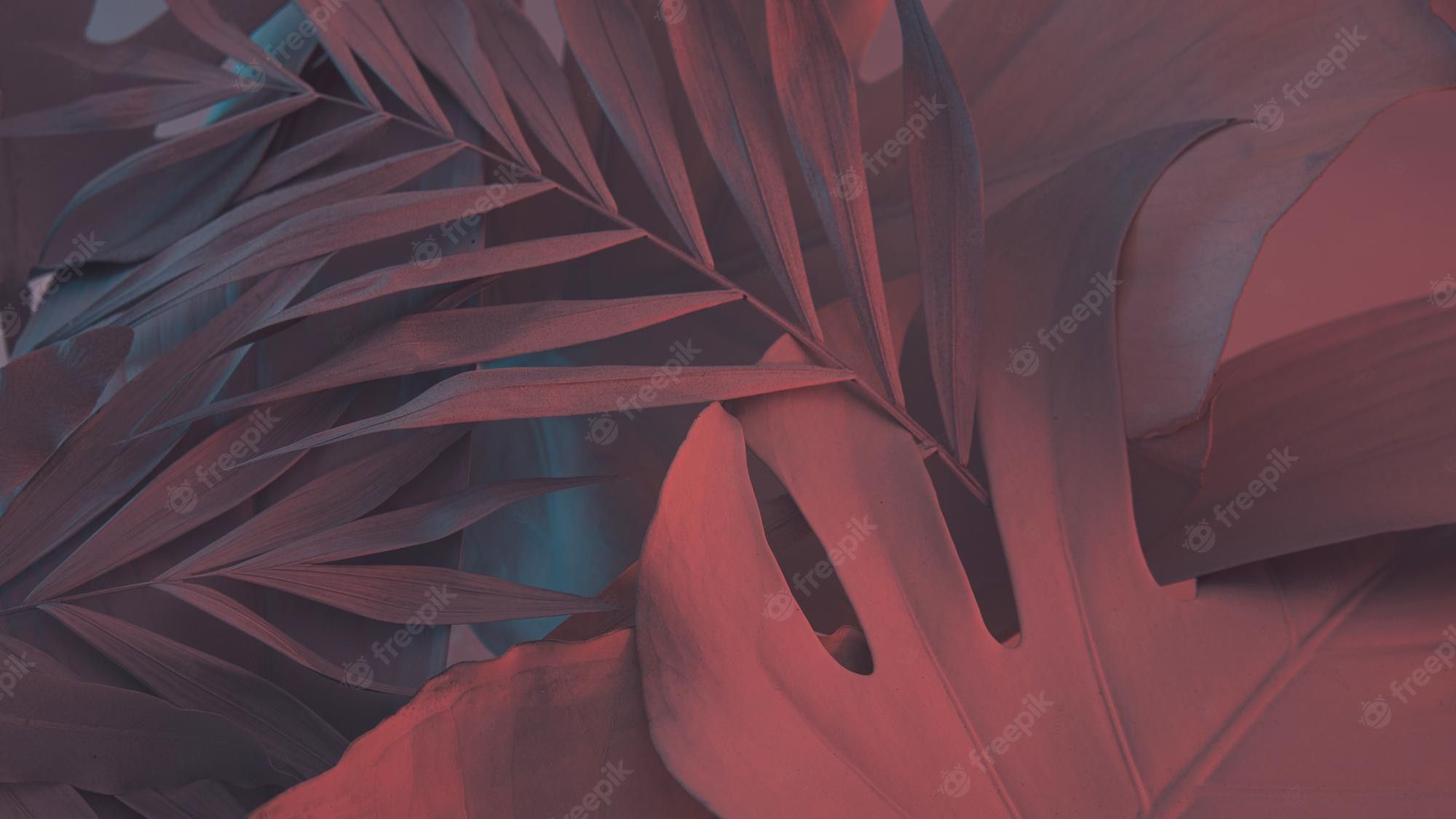 Red and blue tropical leaves on a dark background - Art