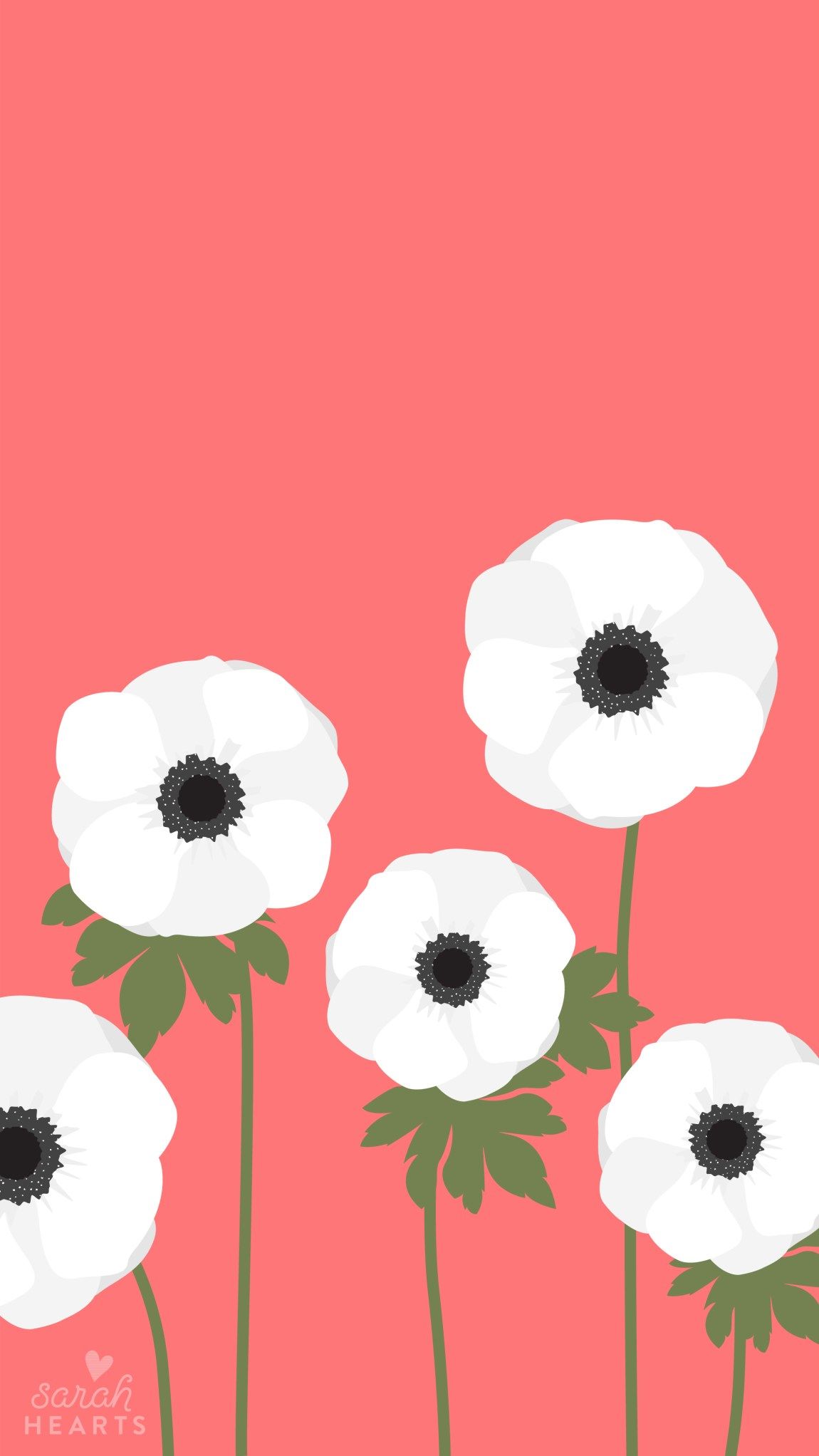 A poster of white flowers on pink background - April
