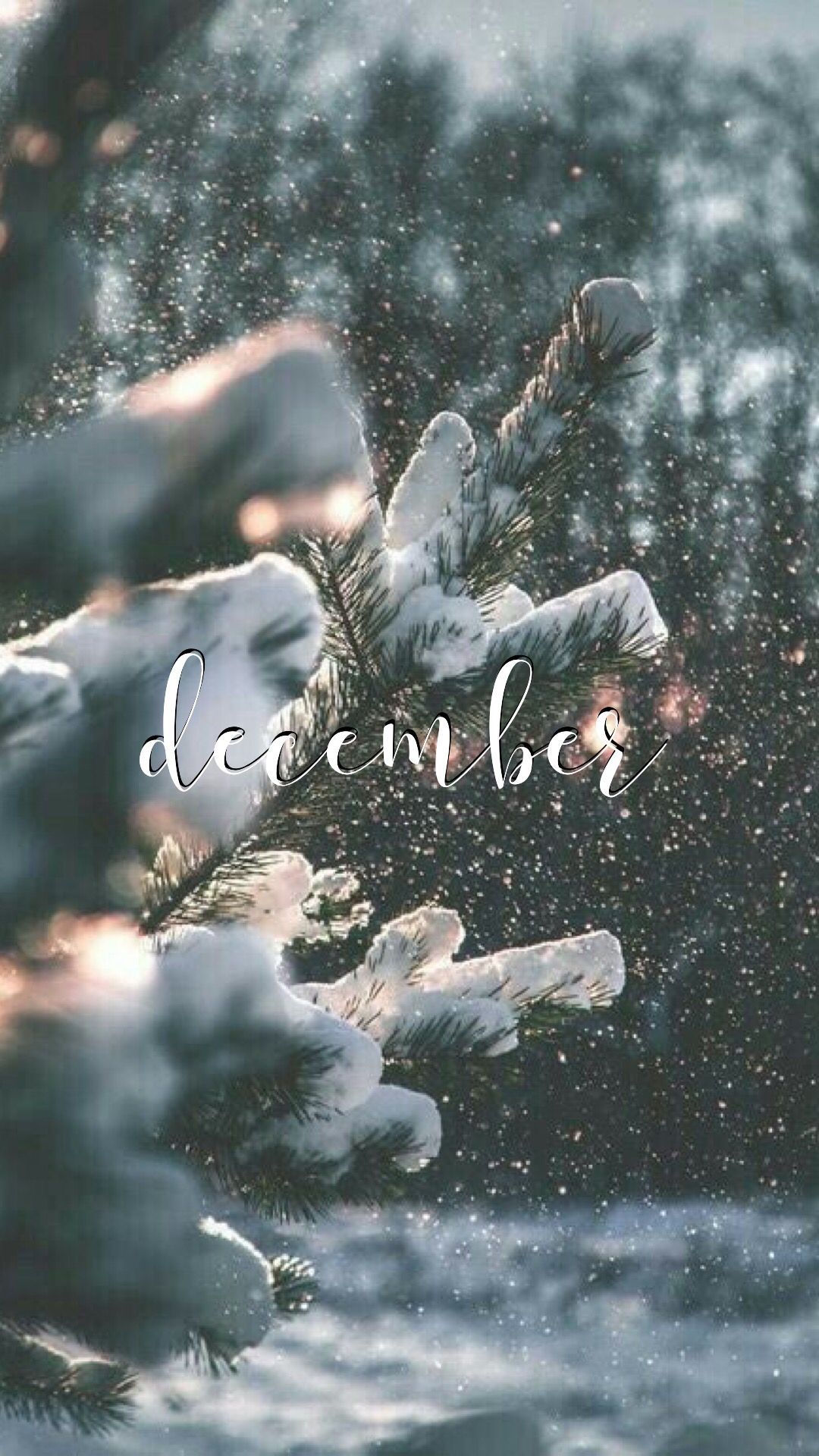 The snowy forest with a quote that says december - December