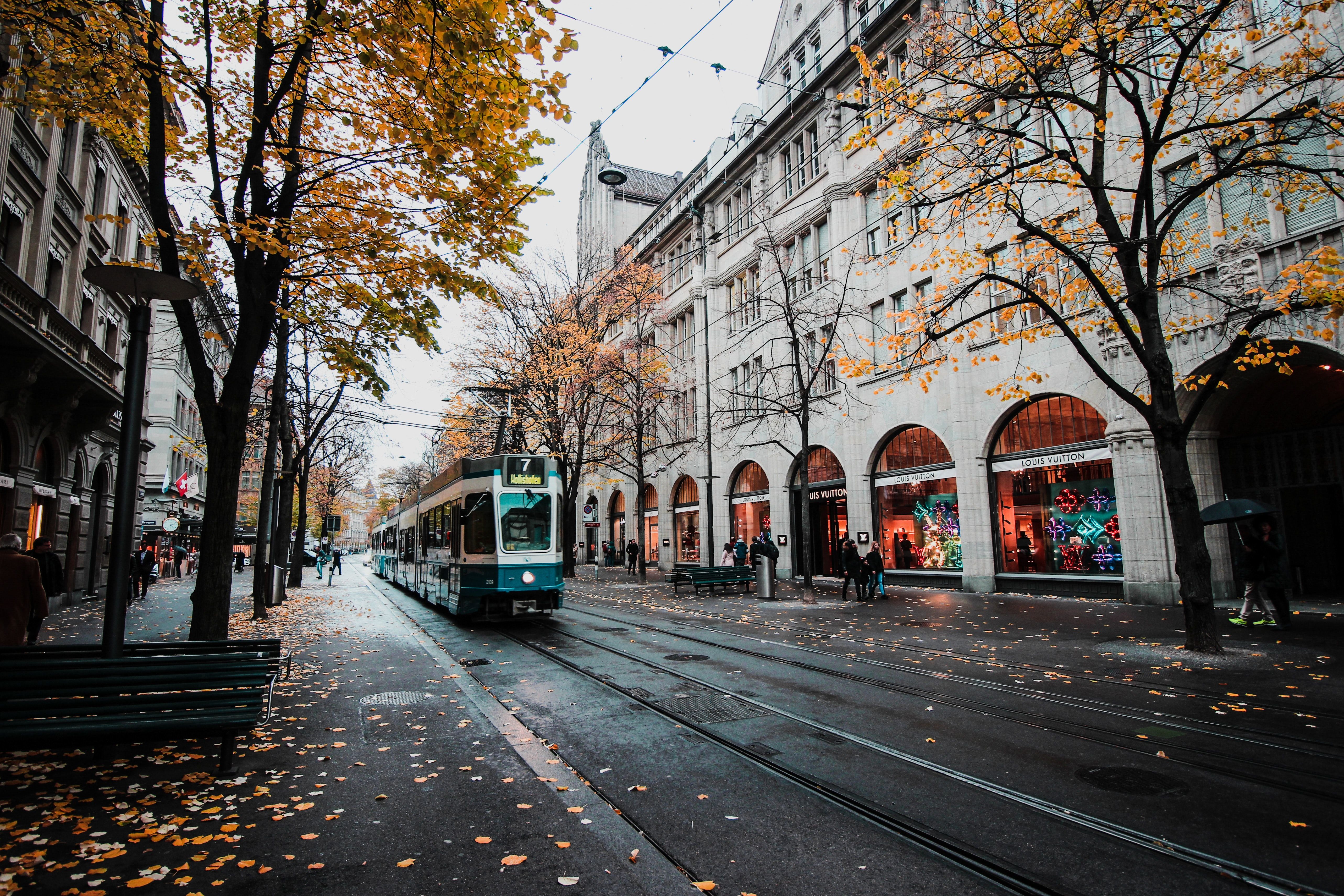 A tram on a wet autumn street - Travel
