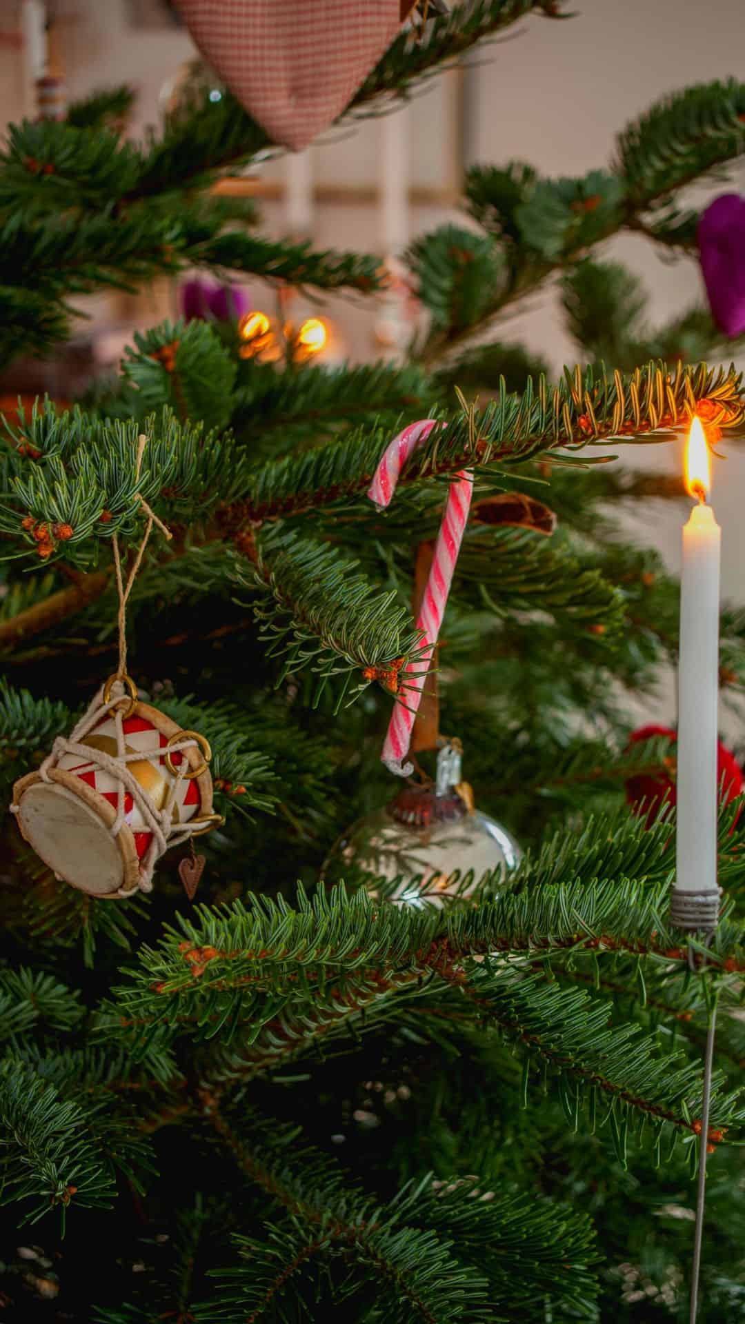 A close up of a Christmas tree with a candy cane and a candle. - Christmas