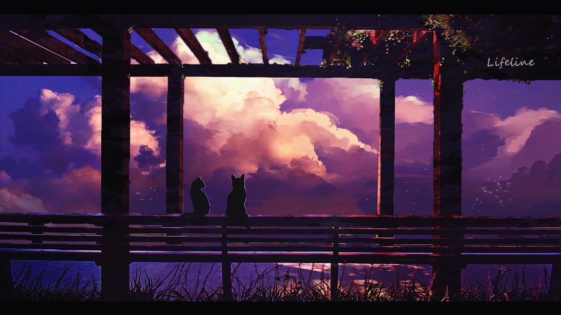 dark, cats, animals, sky, Lifeline, anime, clouds Gallery HD Wallpaper