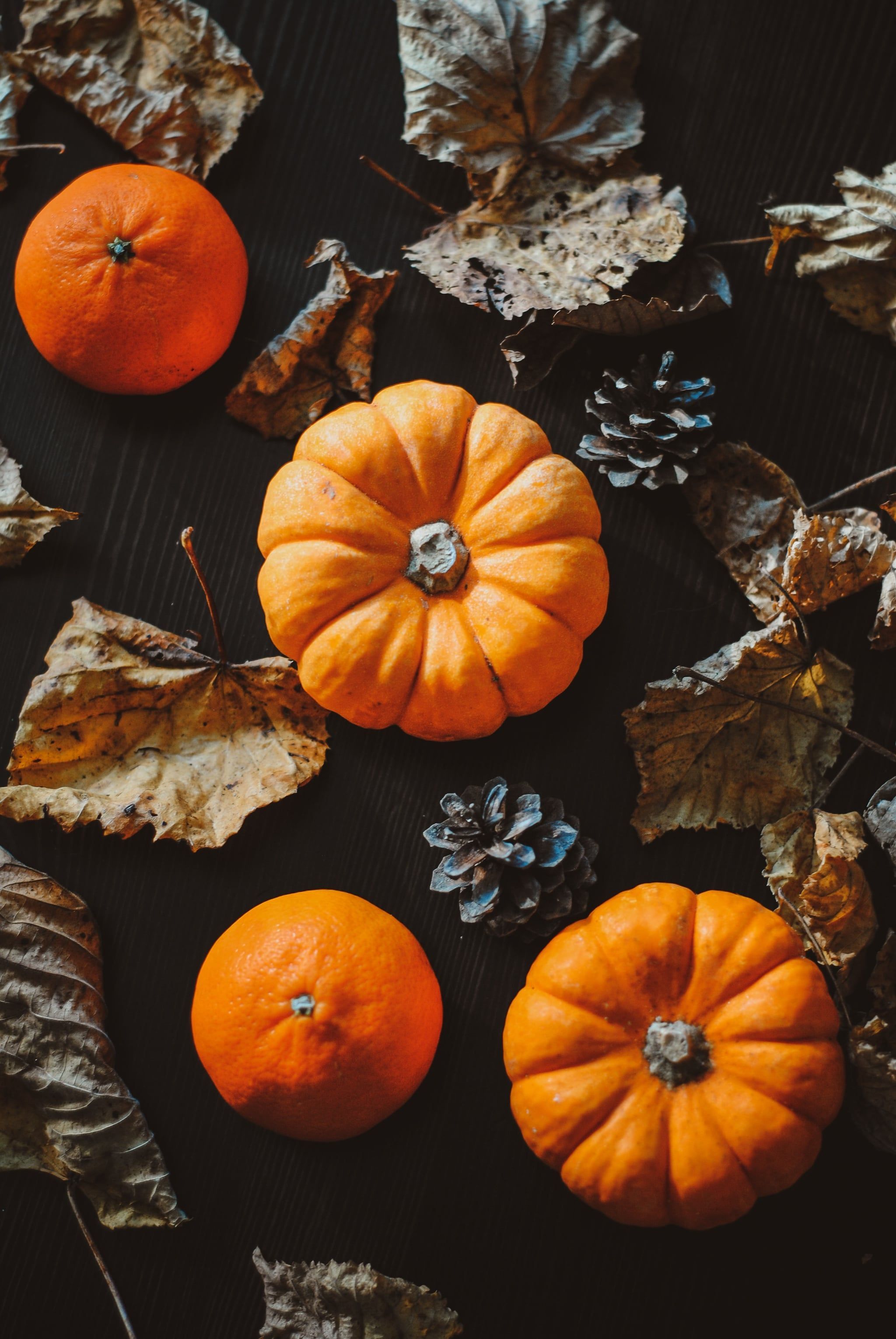 Fall Background: Pumpkins and Oranges iPhone Wallpaper Fall iPhone Wallpaper That'll Instantly Make You Feel Cozy