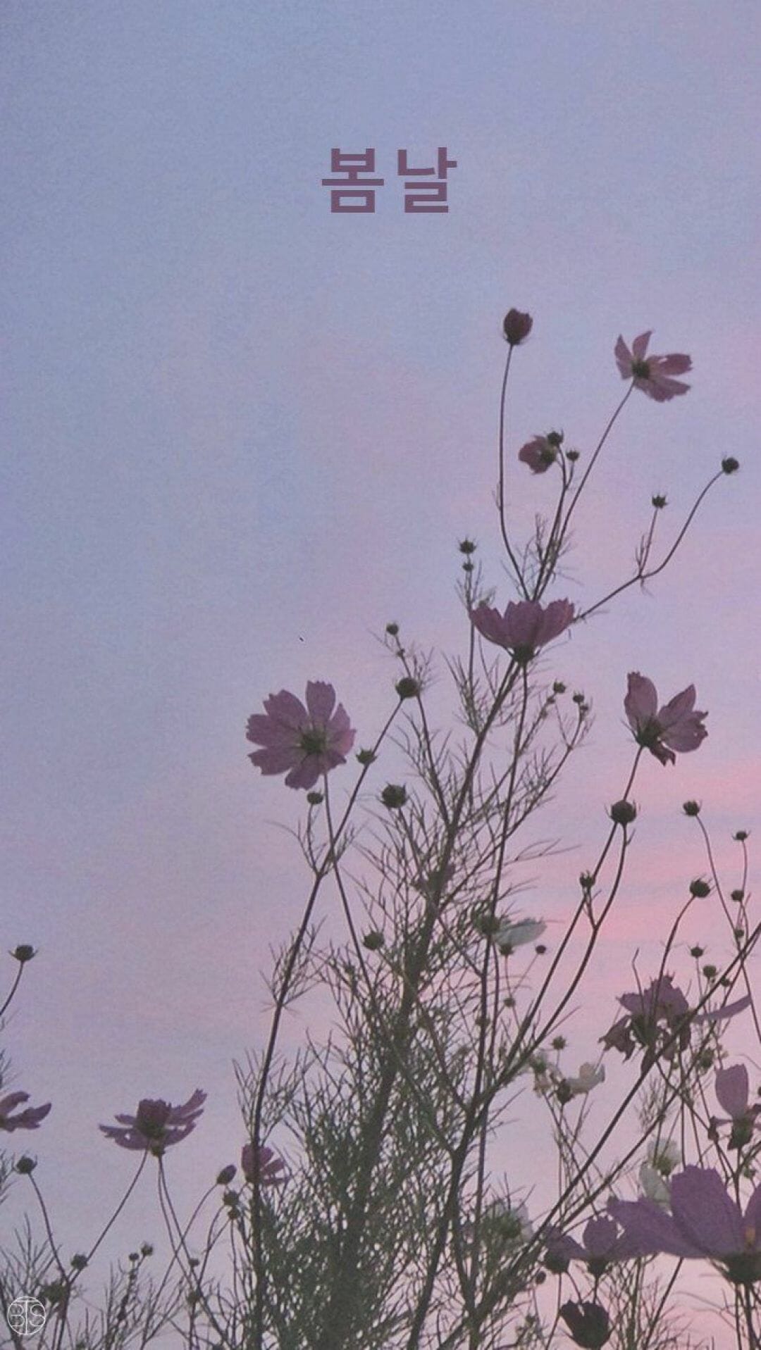 A purple sky with flowers in the foreground - Korean, NCT